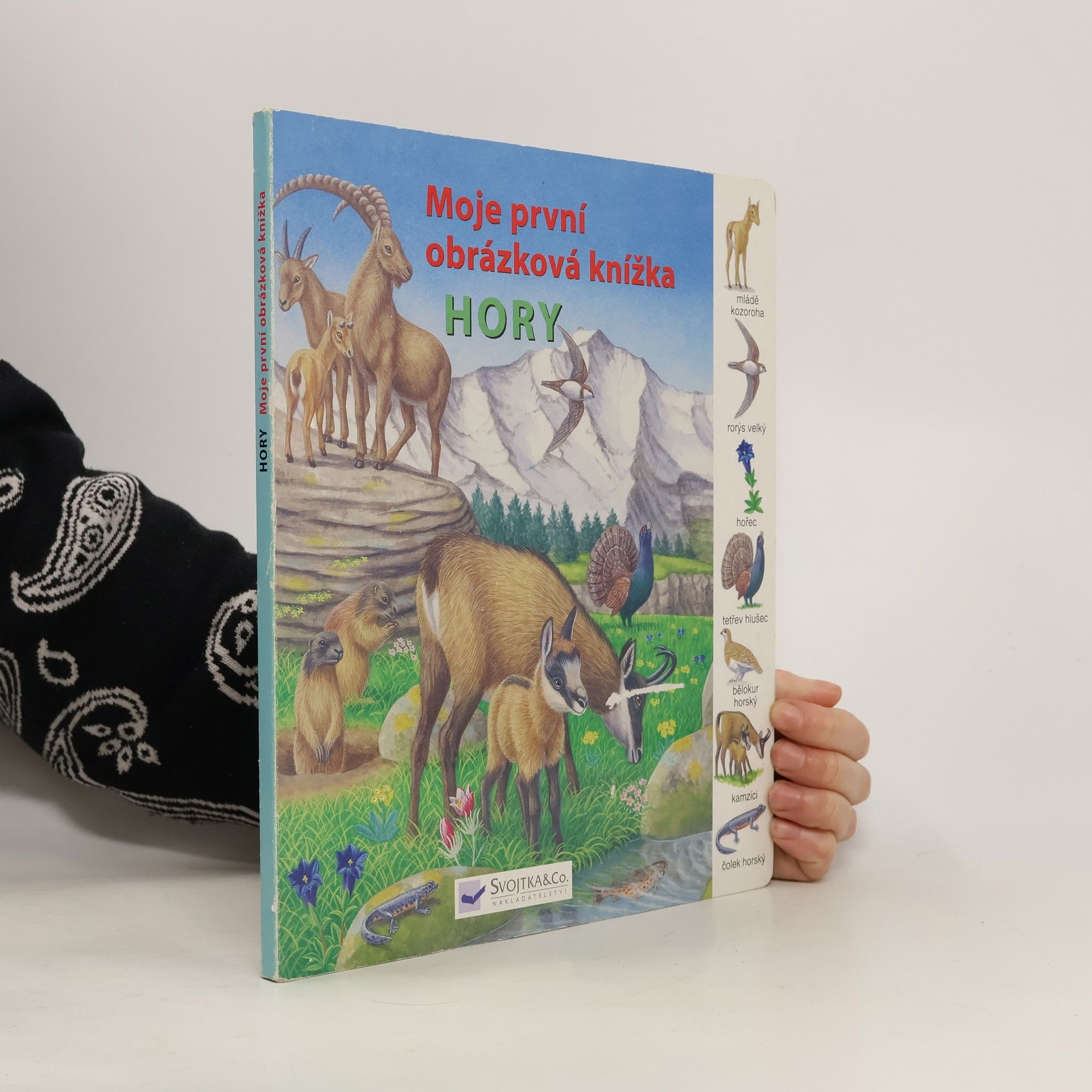 Kolektiv autorů Hory - Moja první obrázková knižka