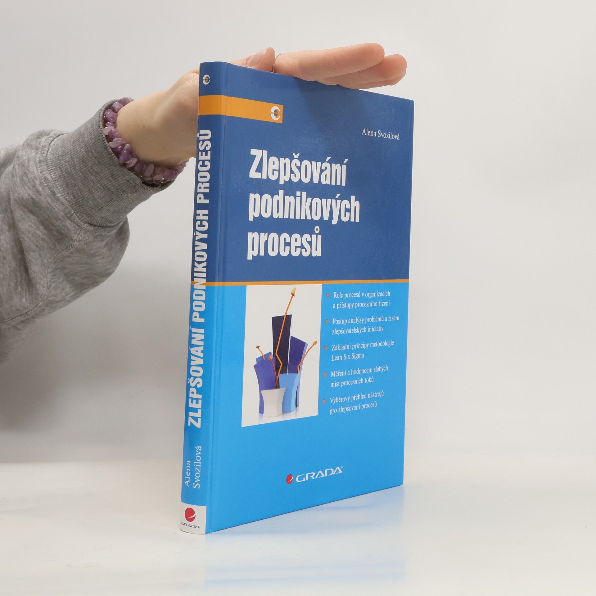 Zlepšování podnikových procesů