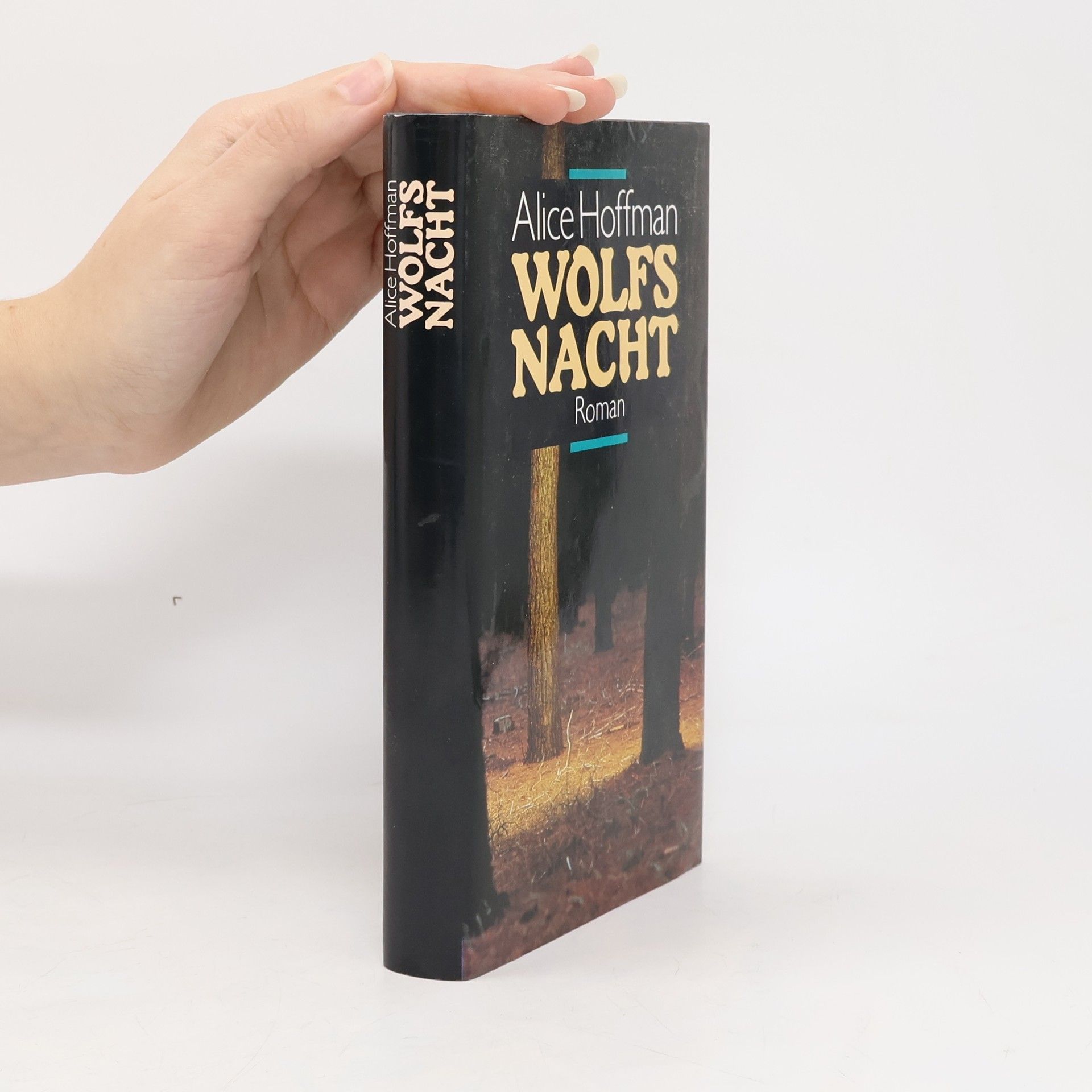 Alice Hoffmann Wolfs Nacht