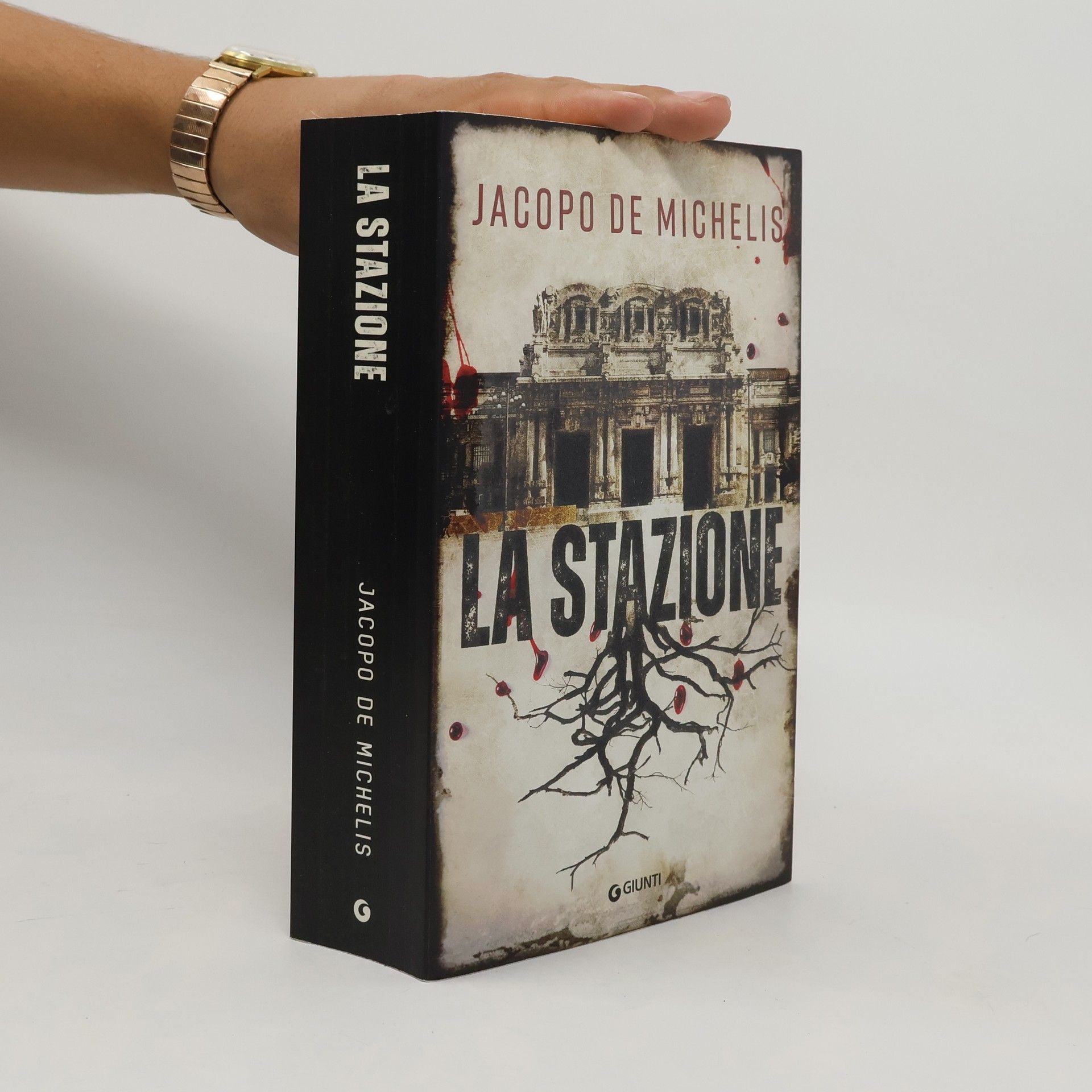 Jacopo De Michelis La stazione