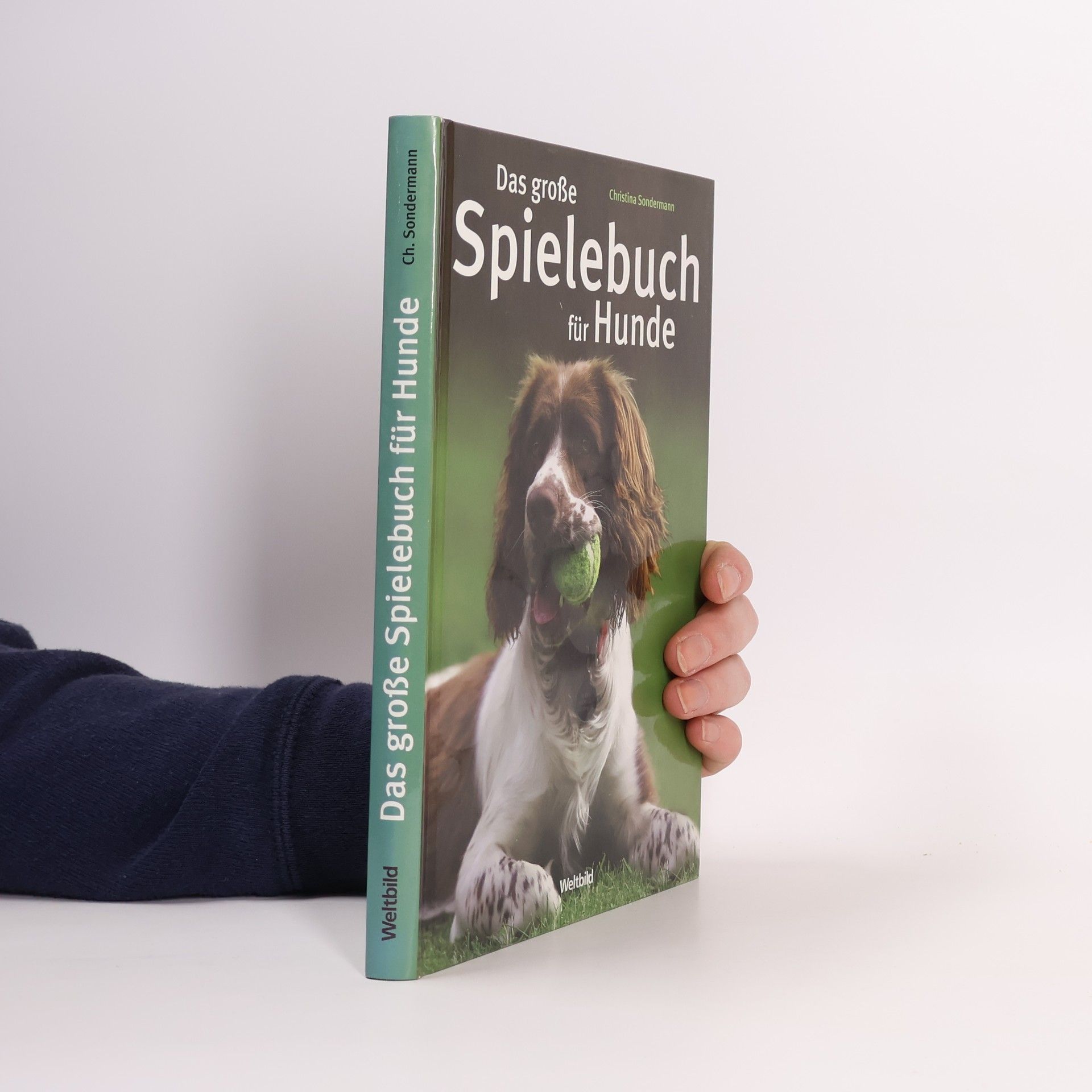 Das große Spielebuch für Hunde