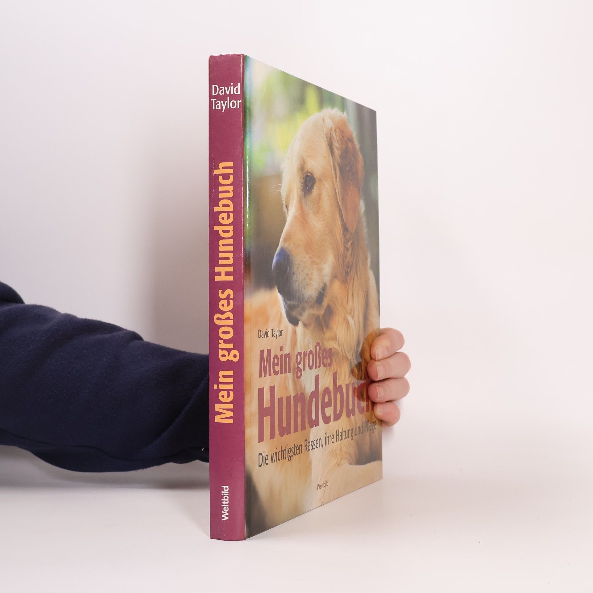David Conrad Taylor Mein großes Hundebuch