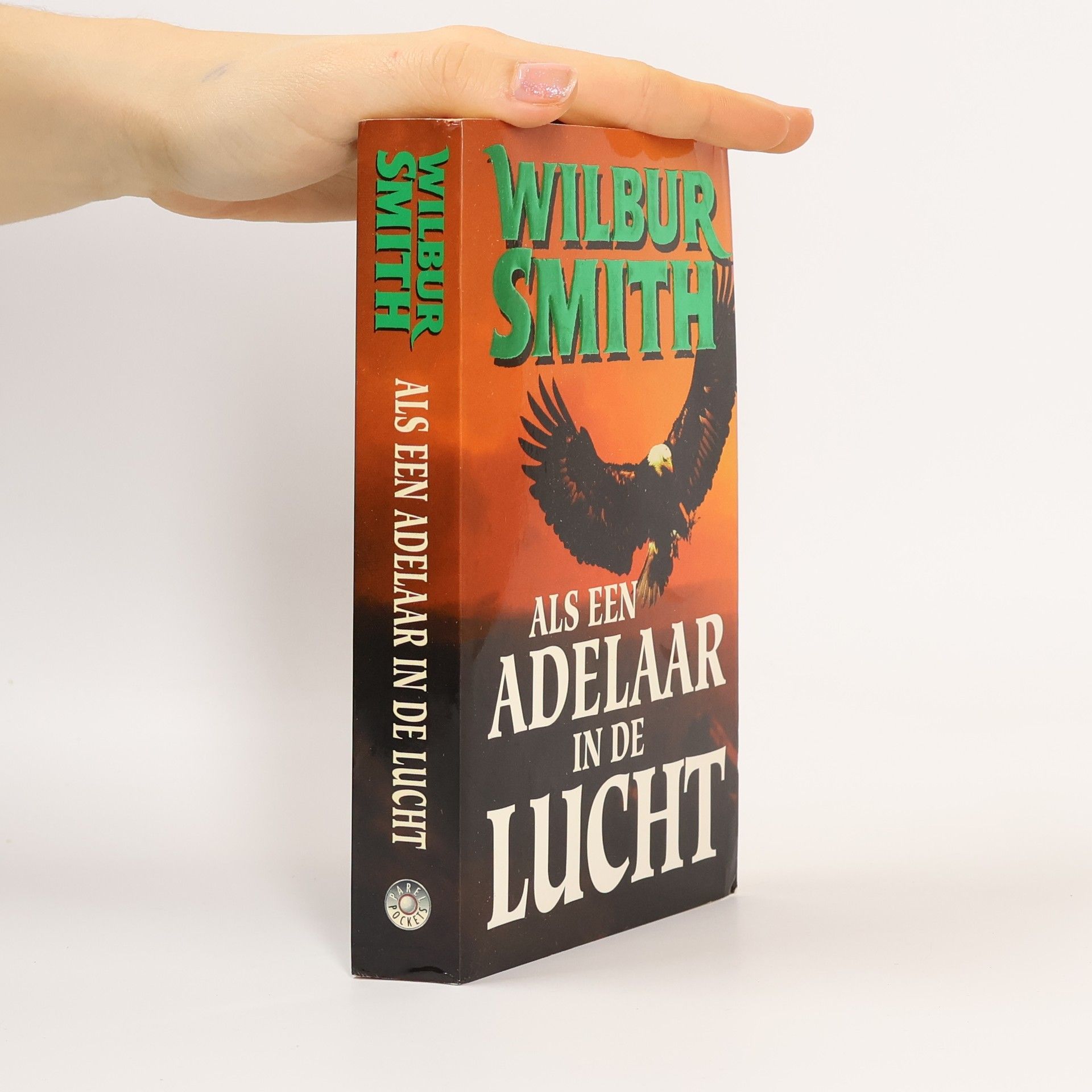 Als een adelaar in de lucht