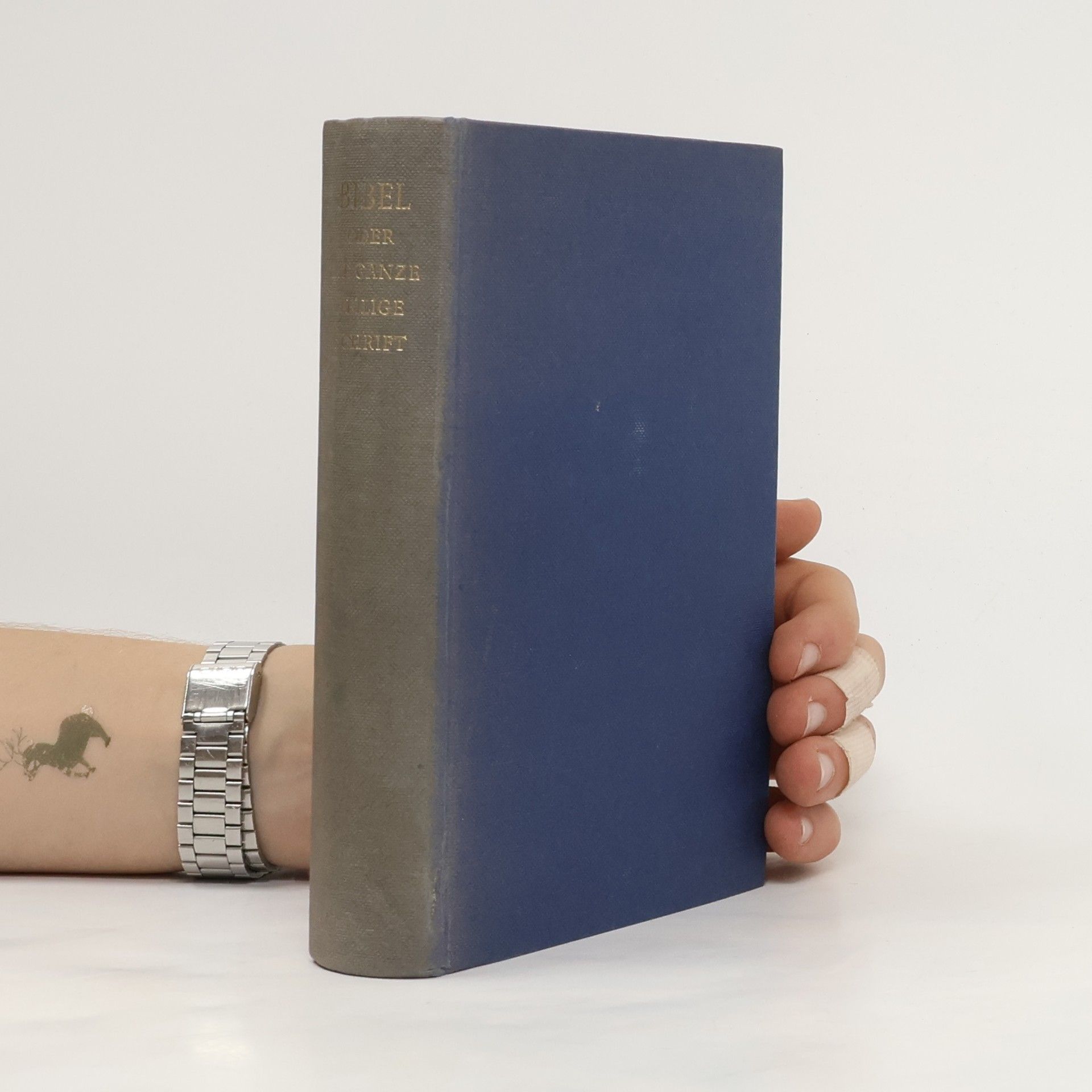 Autorenkollektiv Die Bibel oder die ganze Heilige Schrift des Alten und Neuen Testaments