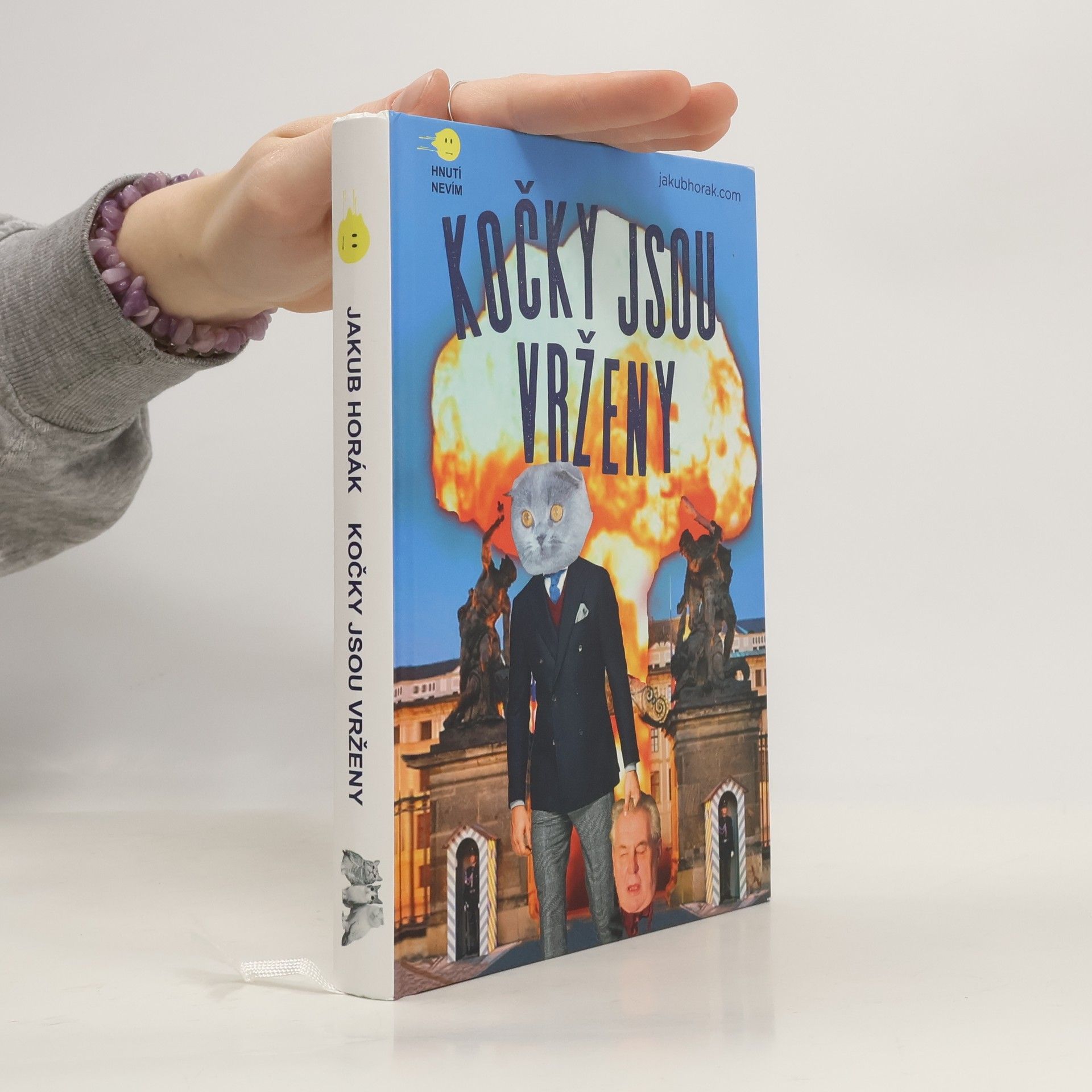 Jakub Horák Kočky jsou vrženy: Fantastický román