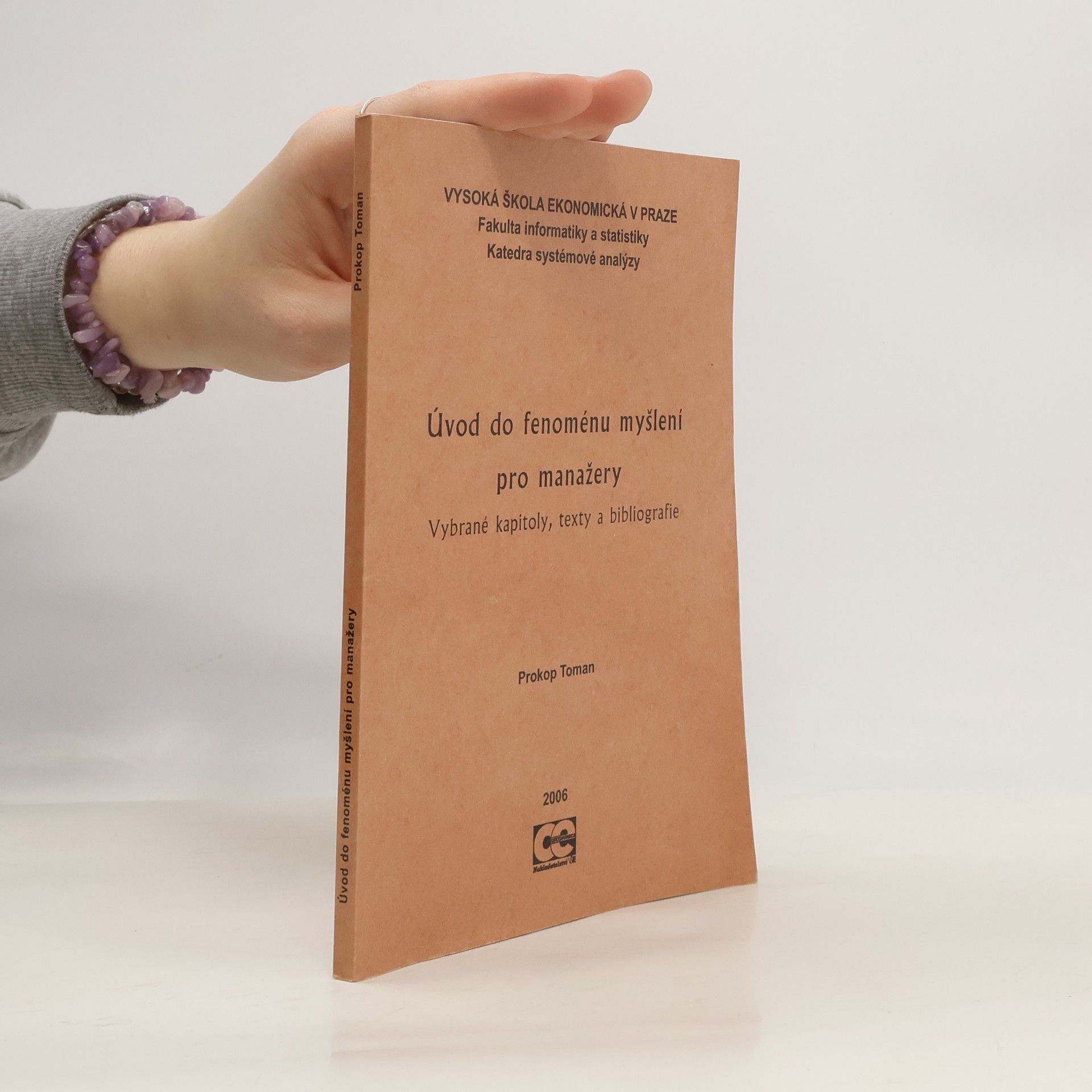 Prokop Toman Úvod do fenoménu myšlení pro manažery