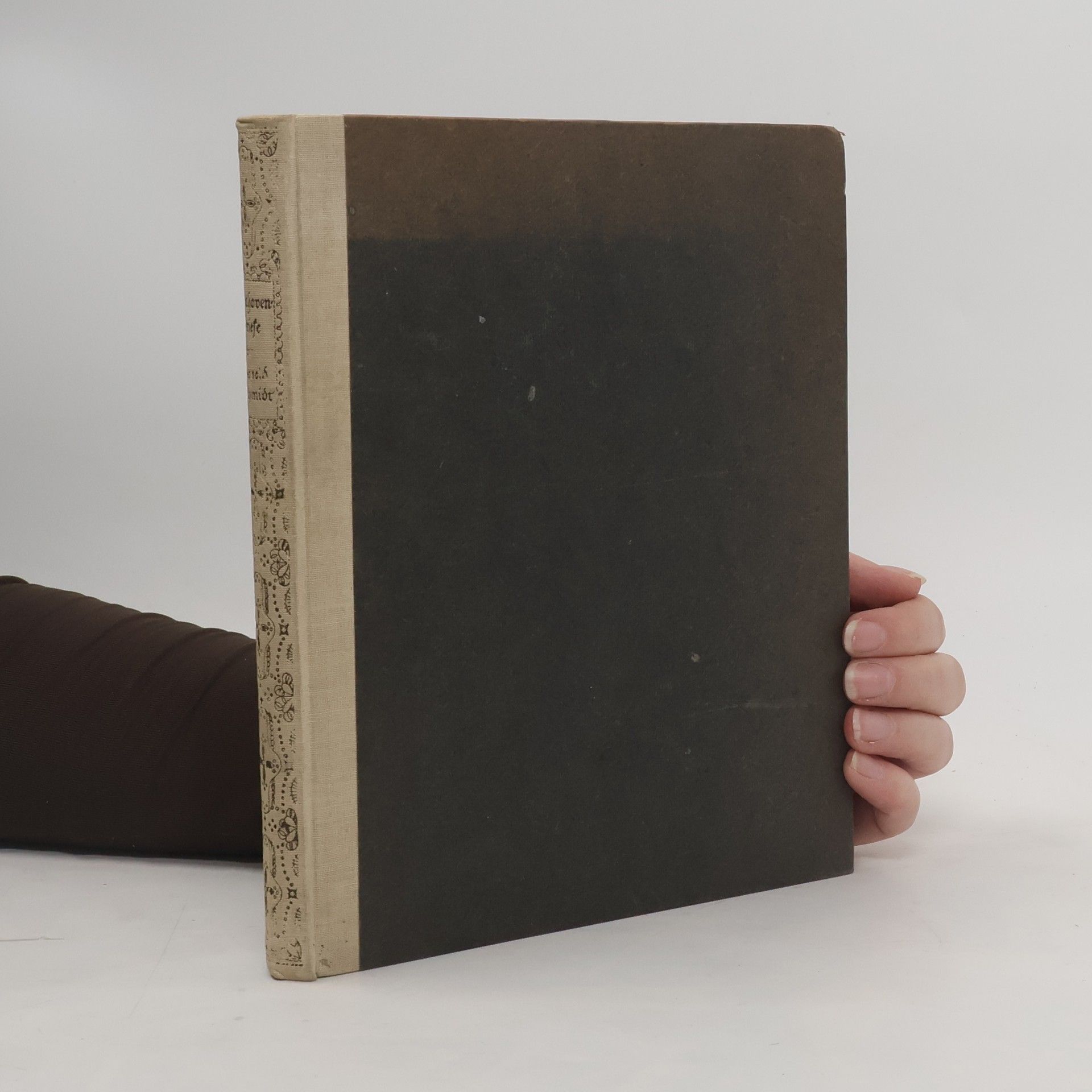 Collectif d'auteurs Beethoven Briefe