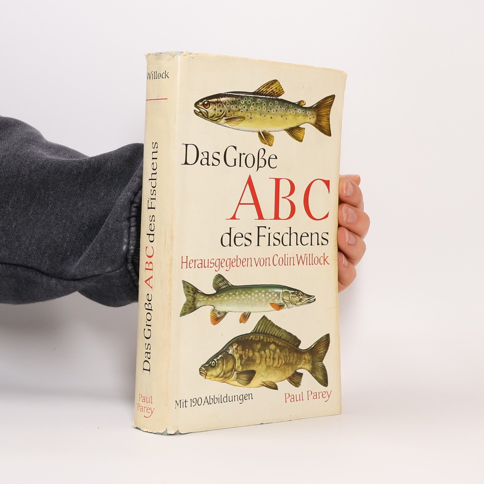 Colin Willock Das grosse ABC des Fischens