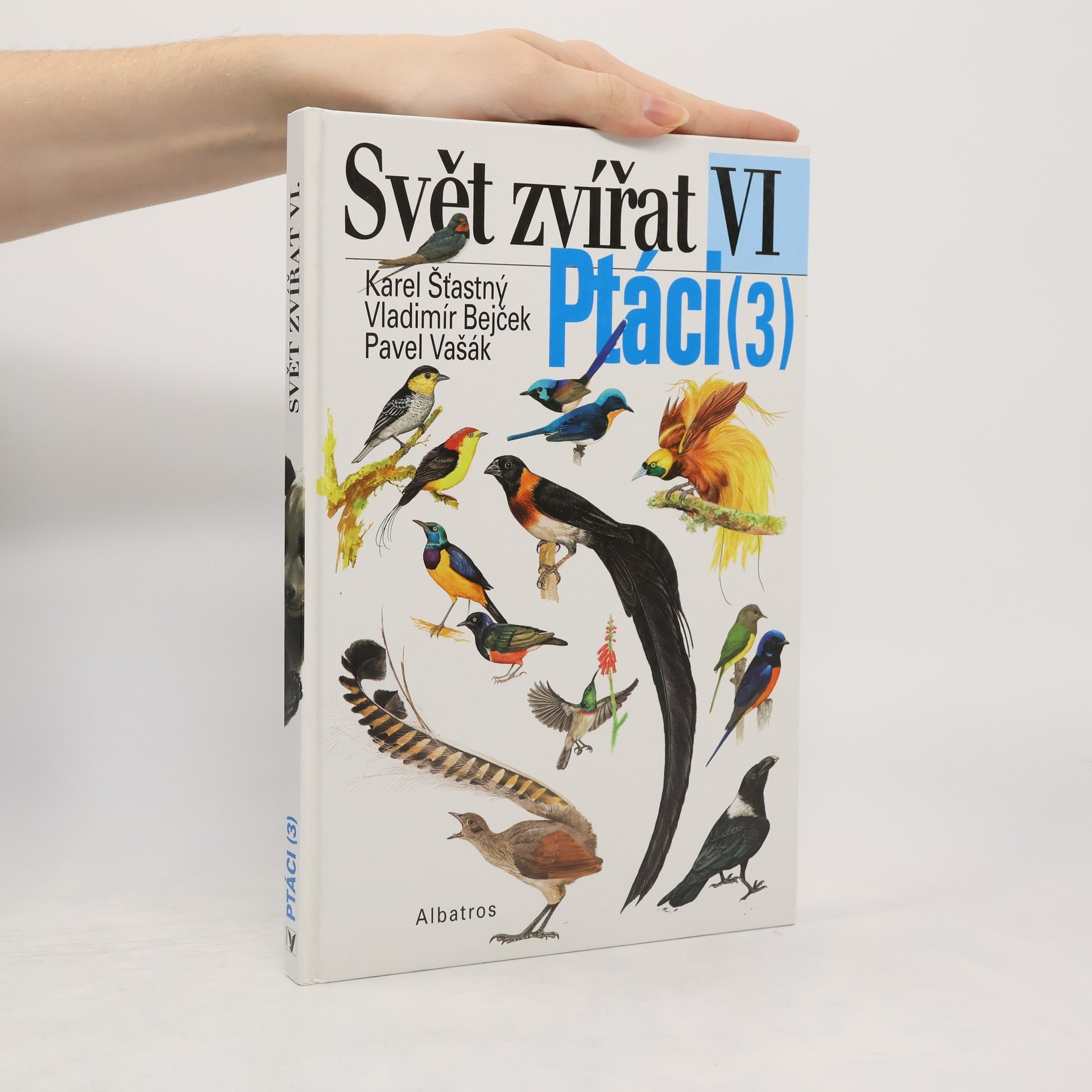 Svět zvířat : VI. Ptáci (3) Pěvci