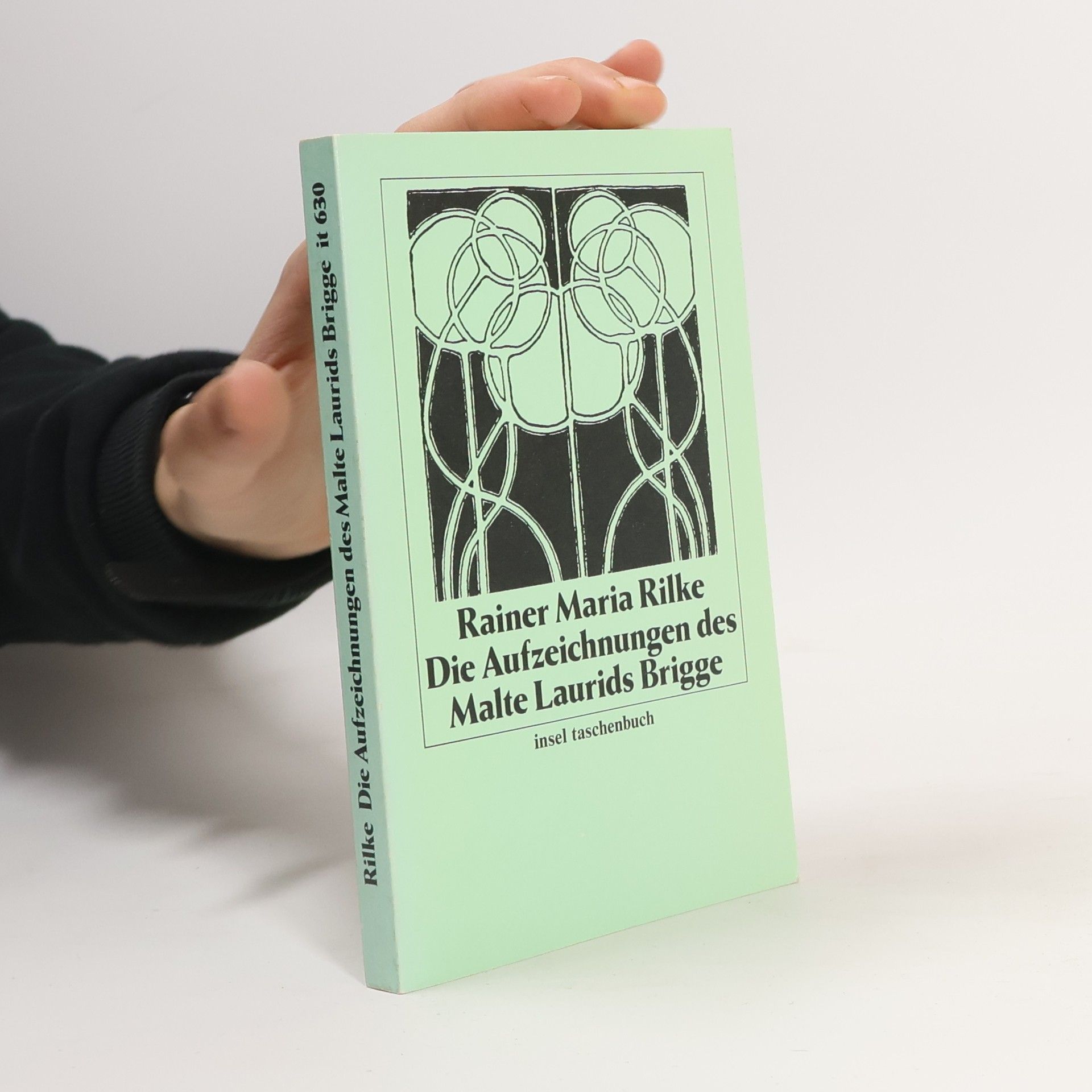 Rainer Maria Rilke Die Aufzeichnungen des Malte Laurids Brigge