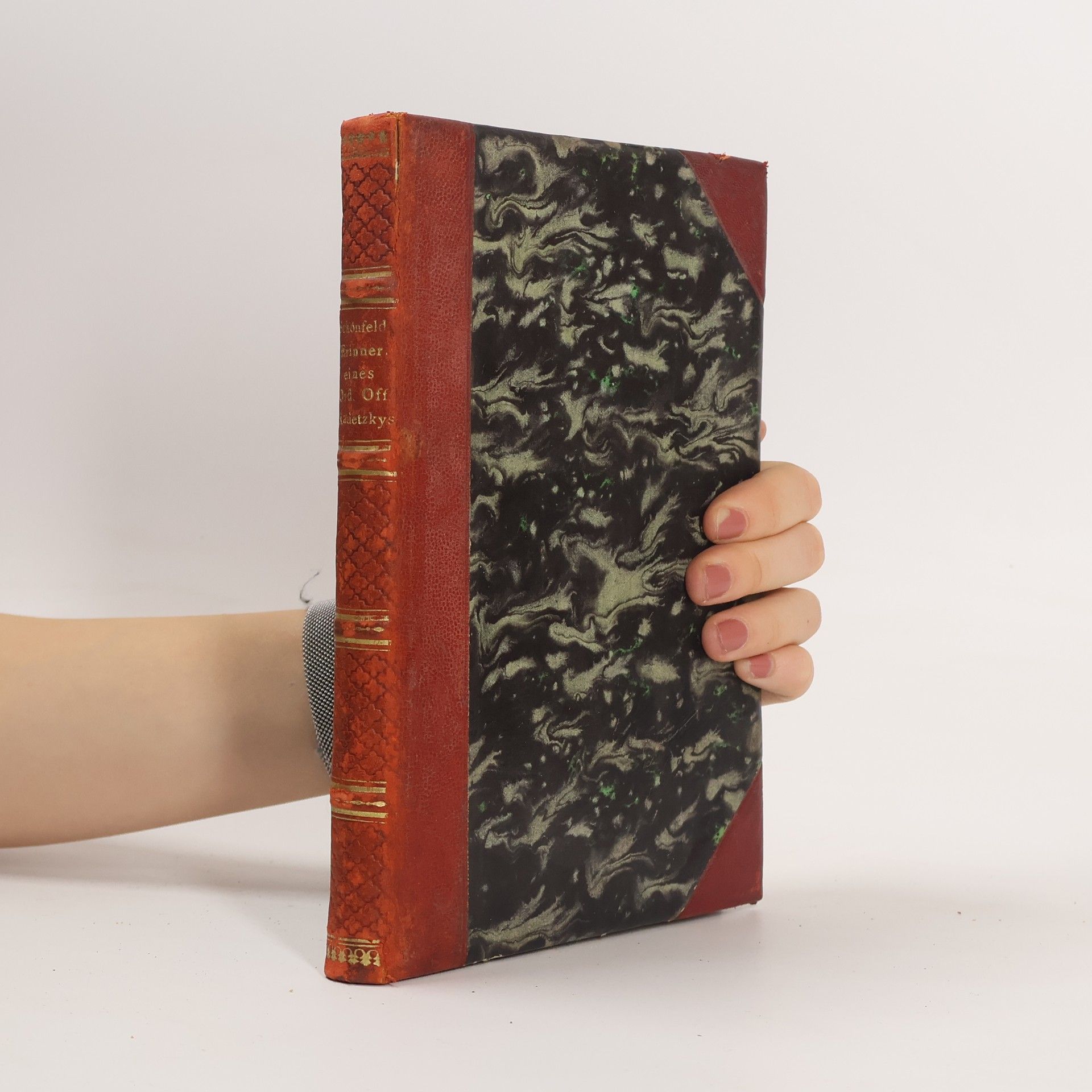 Karl von Schönfeld Erinnerungen eines Ordonnanzoffiziers Radetzkys