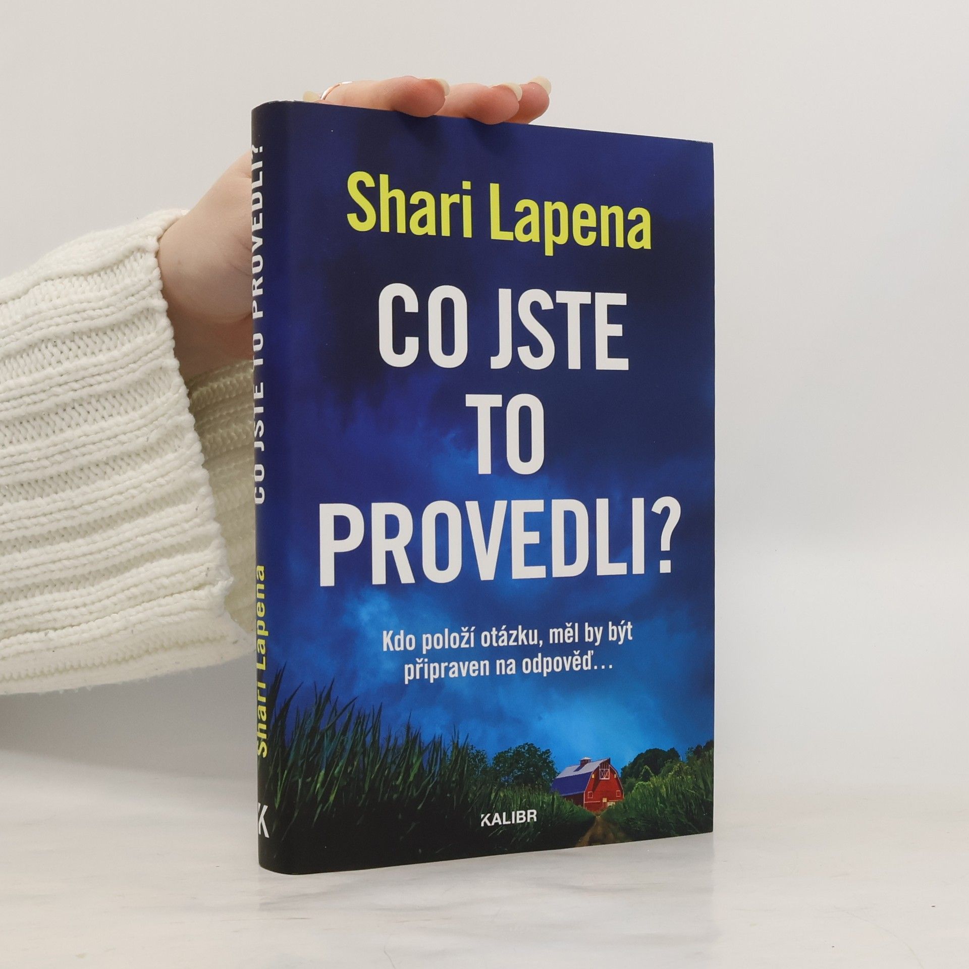 Shari Lapena Co jste to provedli?