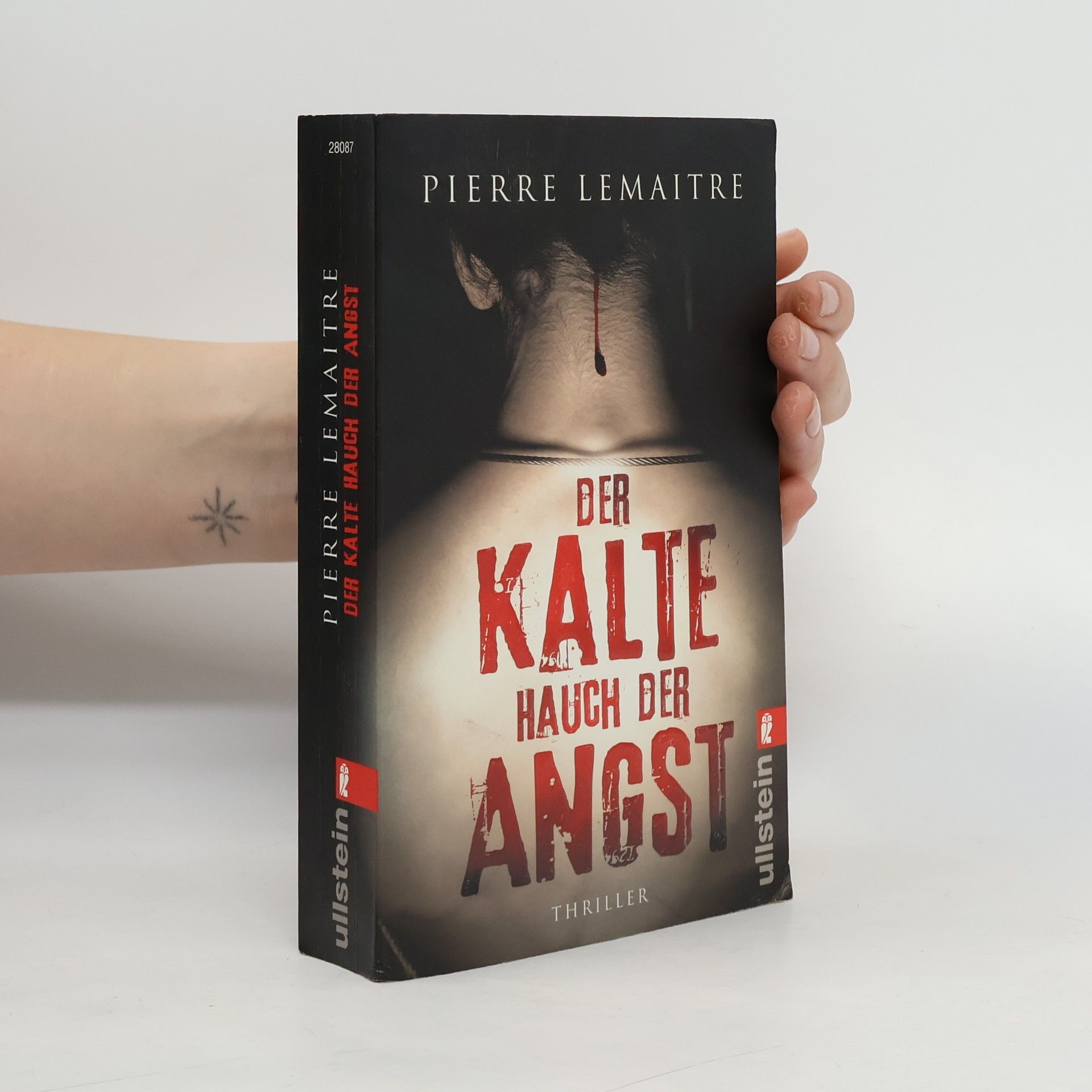 Pierre Lemaitre Der Kalte Hauch der Angst