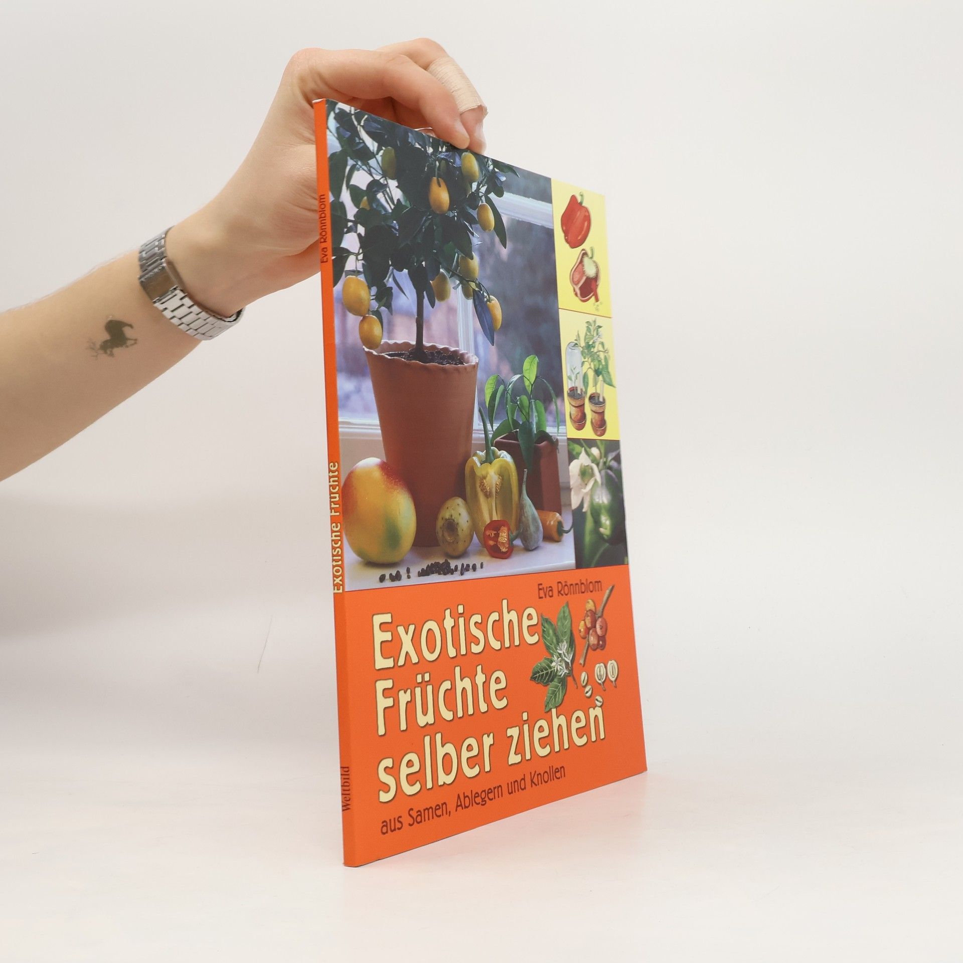 Exotische Früchte selber ziehen aus Samen, Ablegern und Knollen