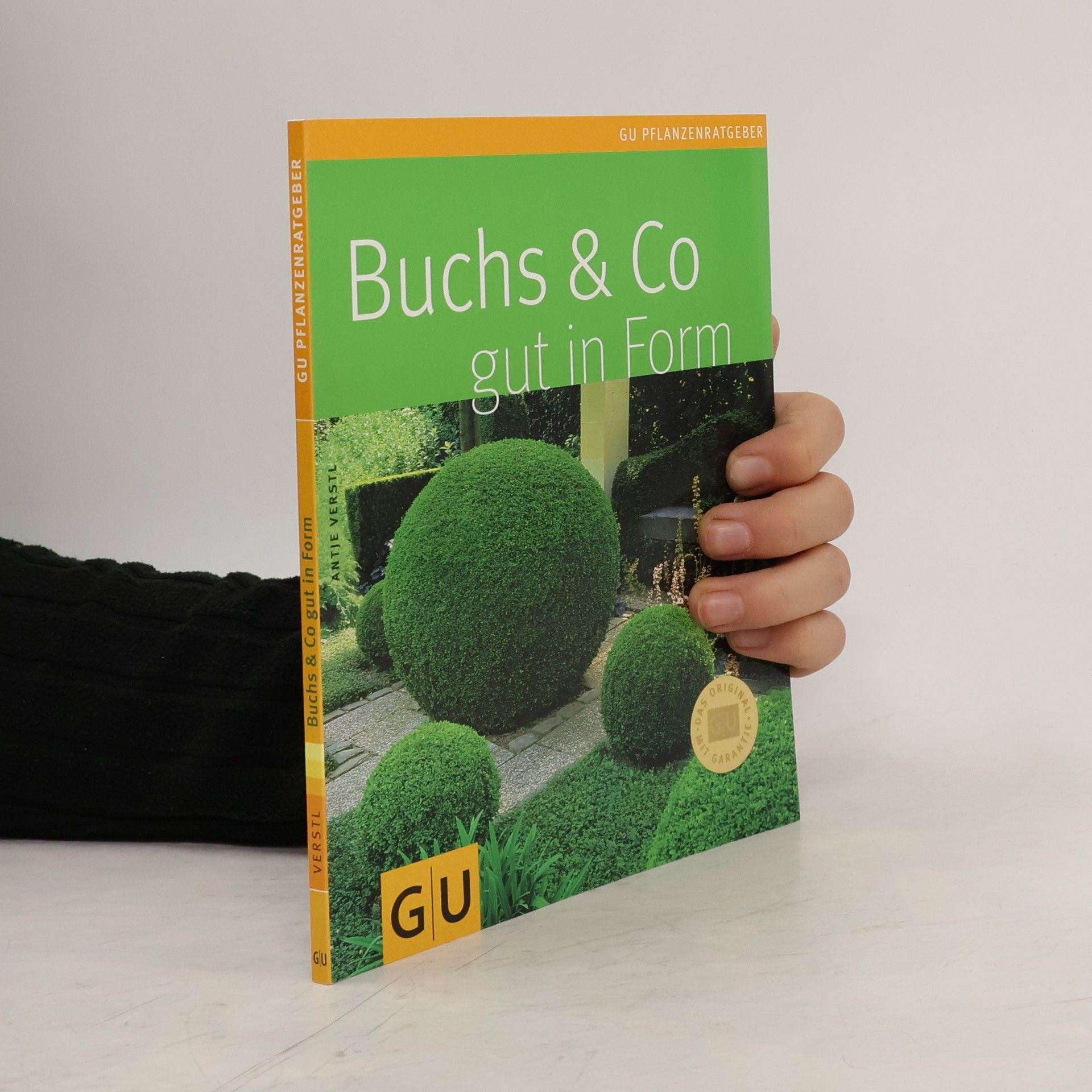 Buchs & Co gut in Form