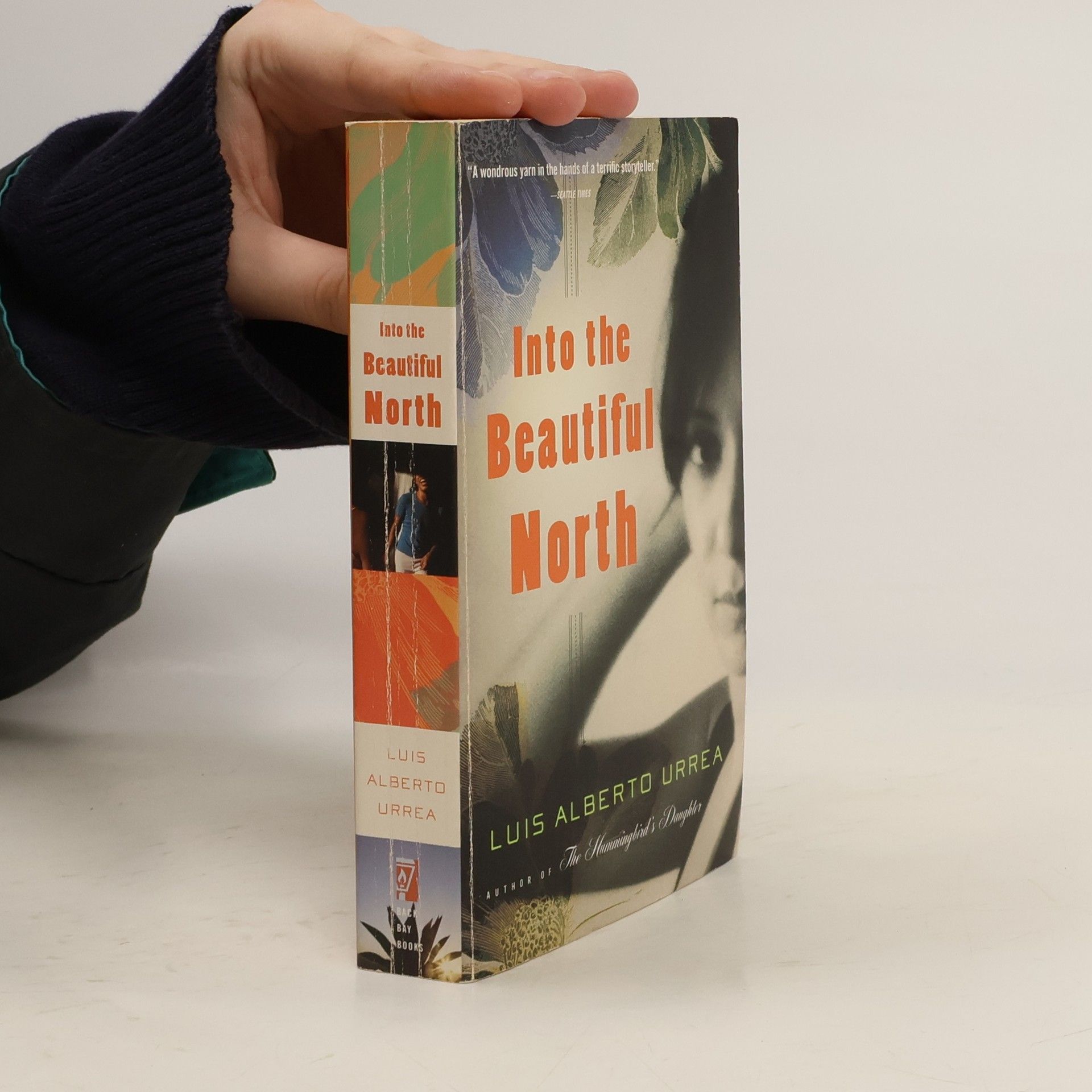 Into the Beautiful North