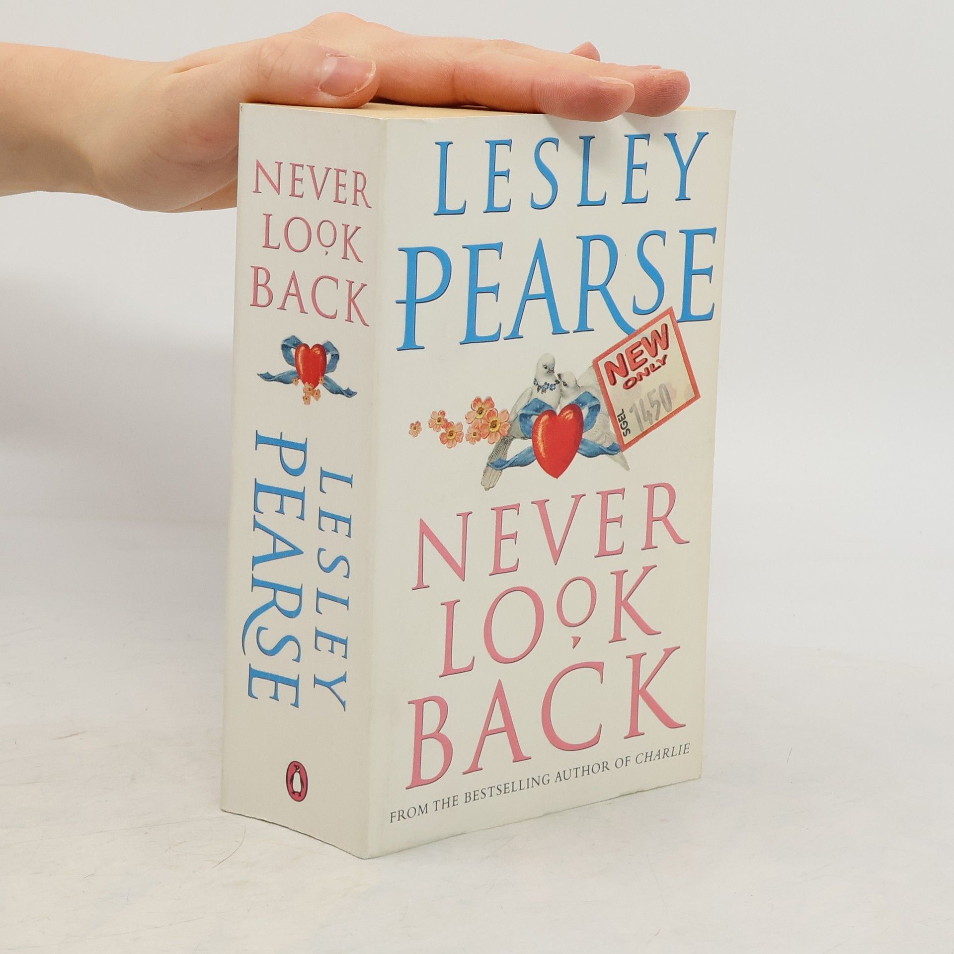 Lesley Pearse Never Look Back