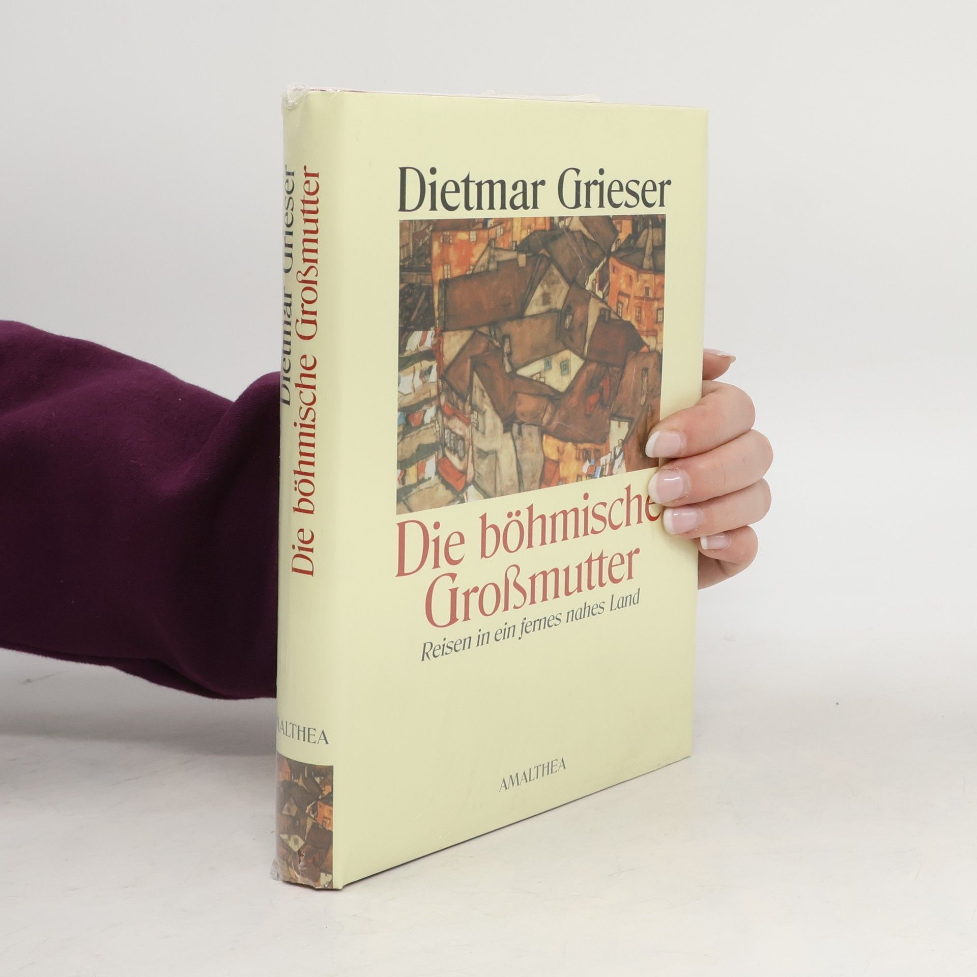 Dietmar Grieser Die böhmische Großmutter: Reisen in ein fernes nahes Land