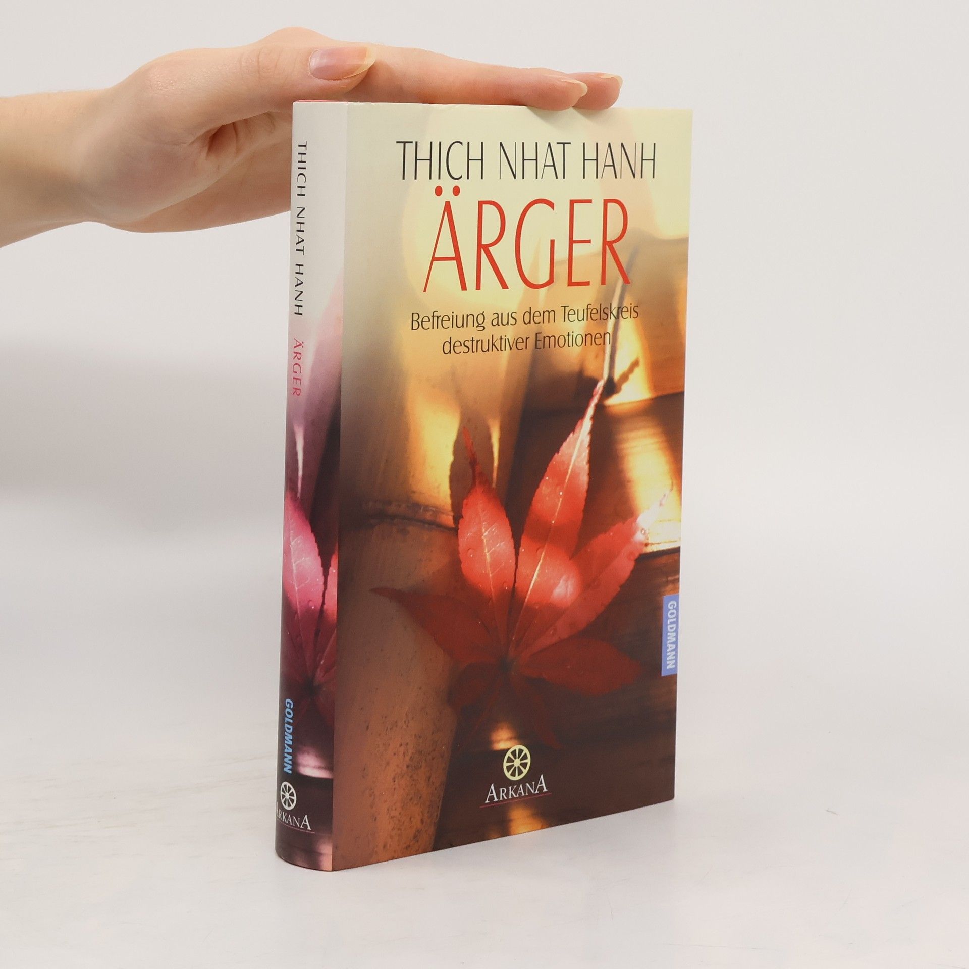 Thích Nhất Hạnh Ärger