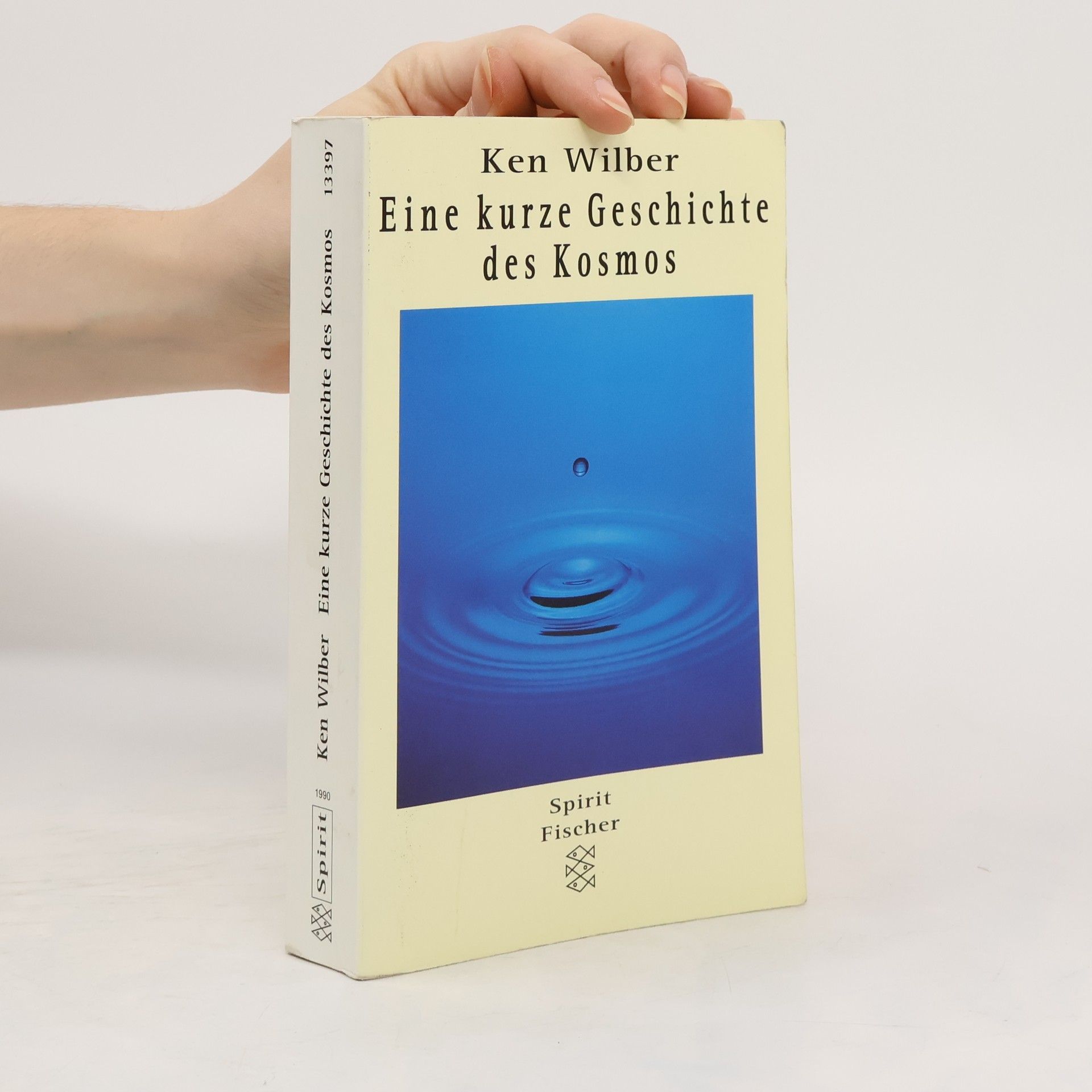 Ken Wilber Eine kurze Geschichte des Kosmos