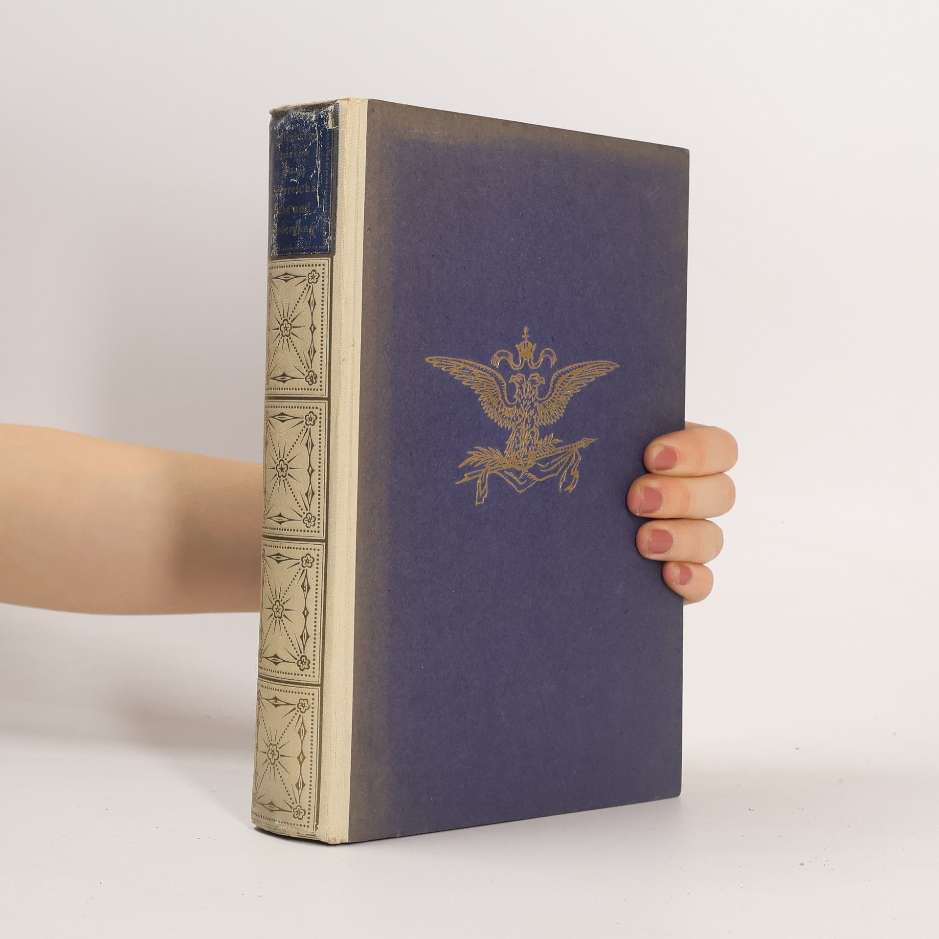 Moritz von Auffenberg-Komarów Aus Österreichs Höhe und Niedergang