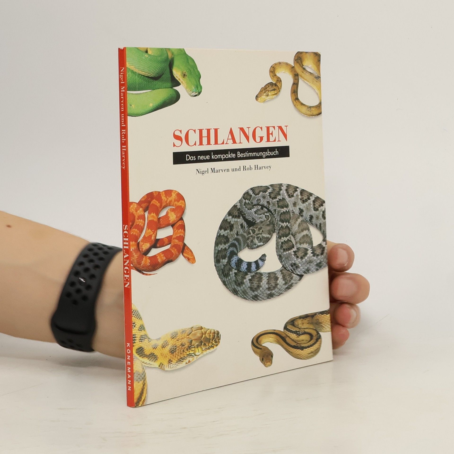 Nigel Marven Schlangen