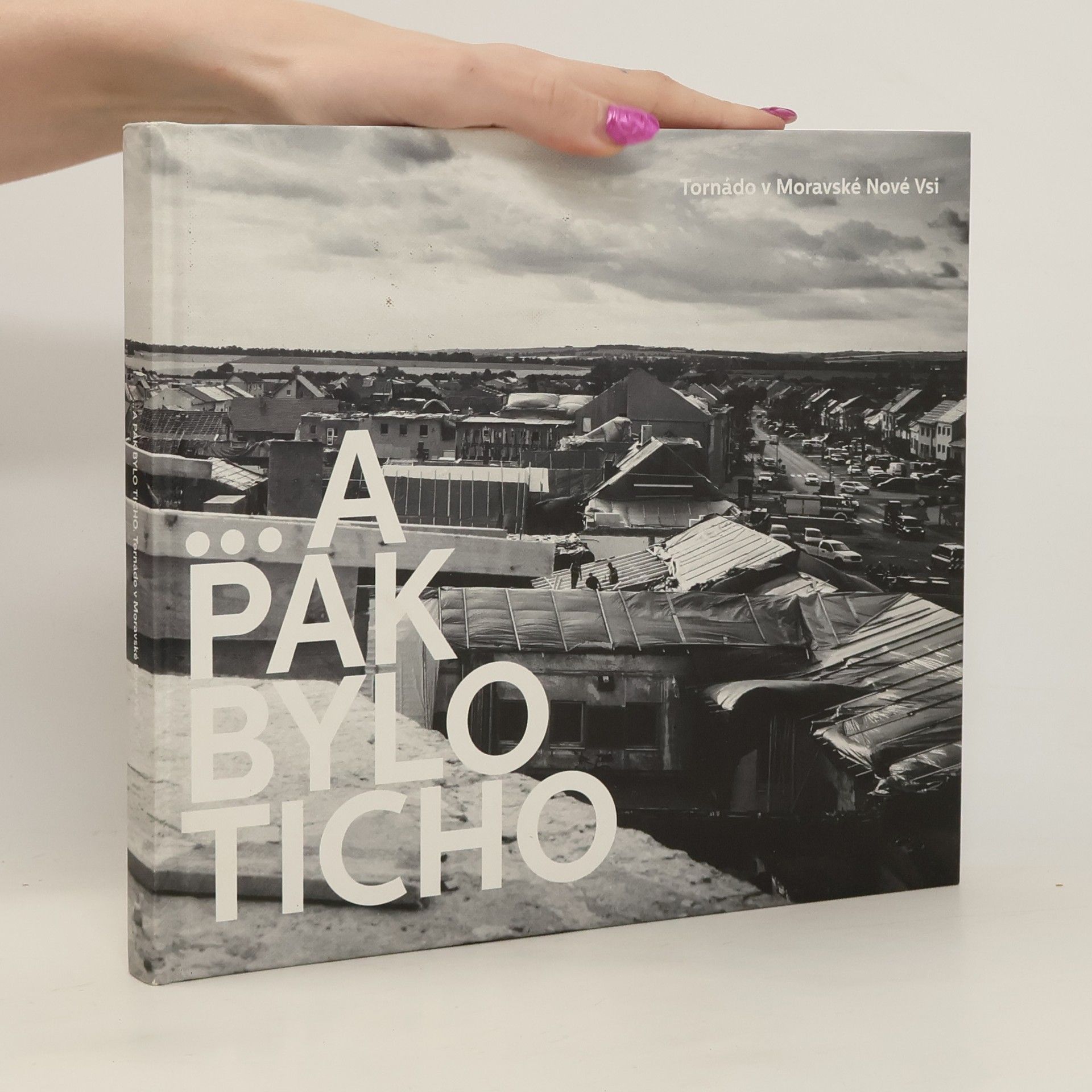 Iva Tereza Grosskopfová ...A pak bylo ticho. Tornádo v Moravské Nové Vsi