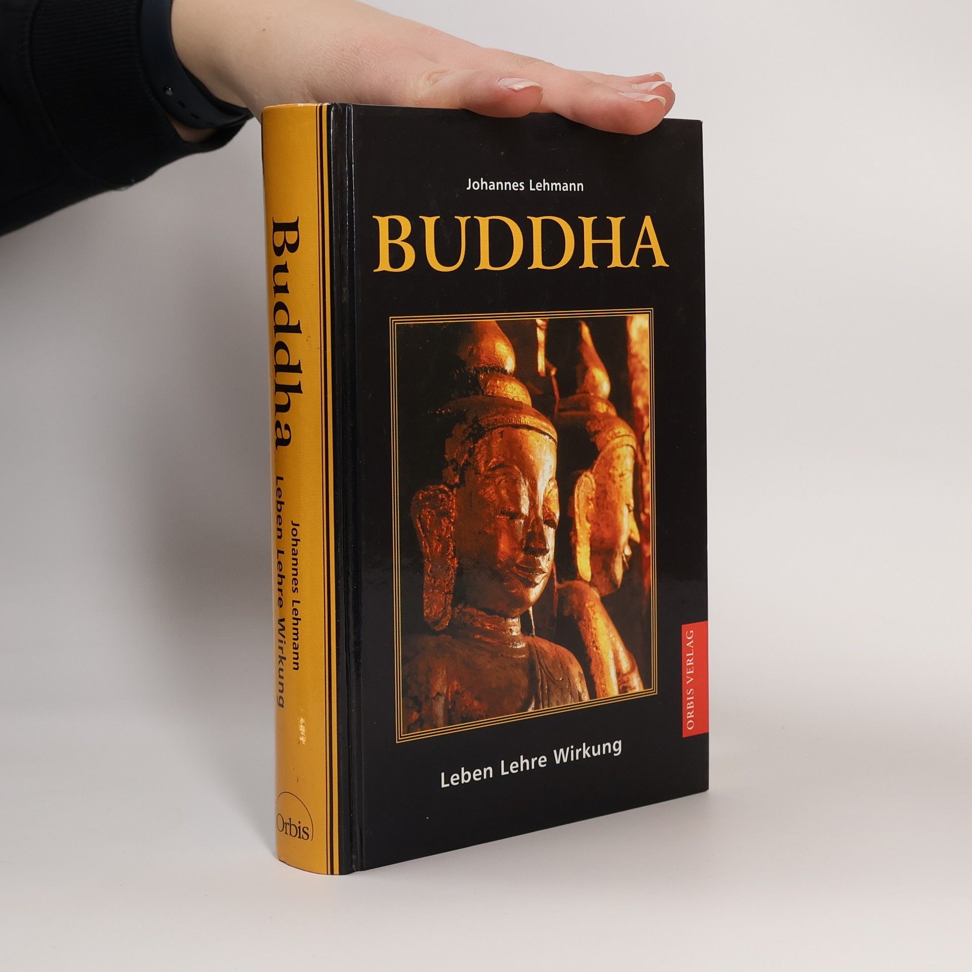 Buddha. Leben, Lehre, Wirkung