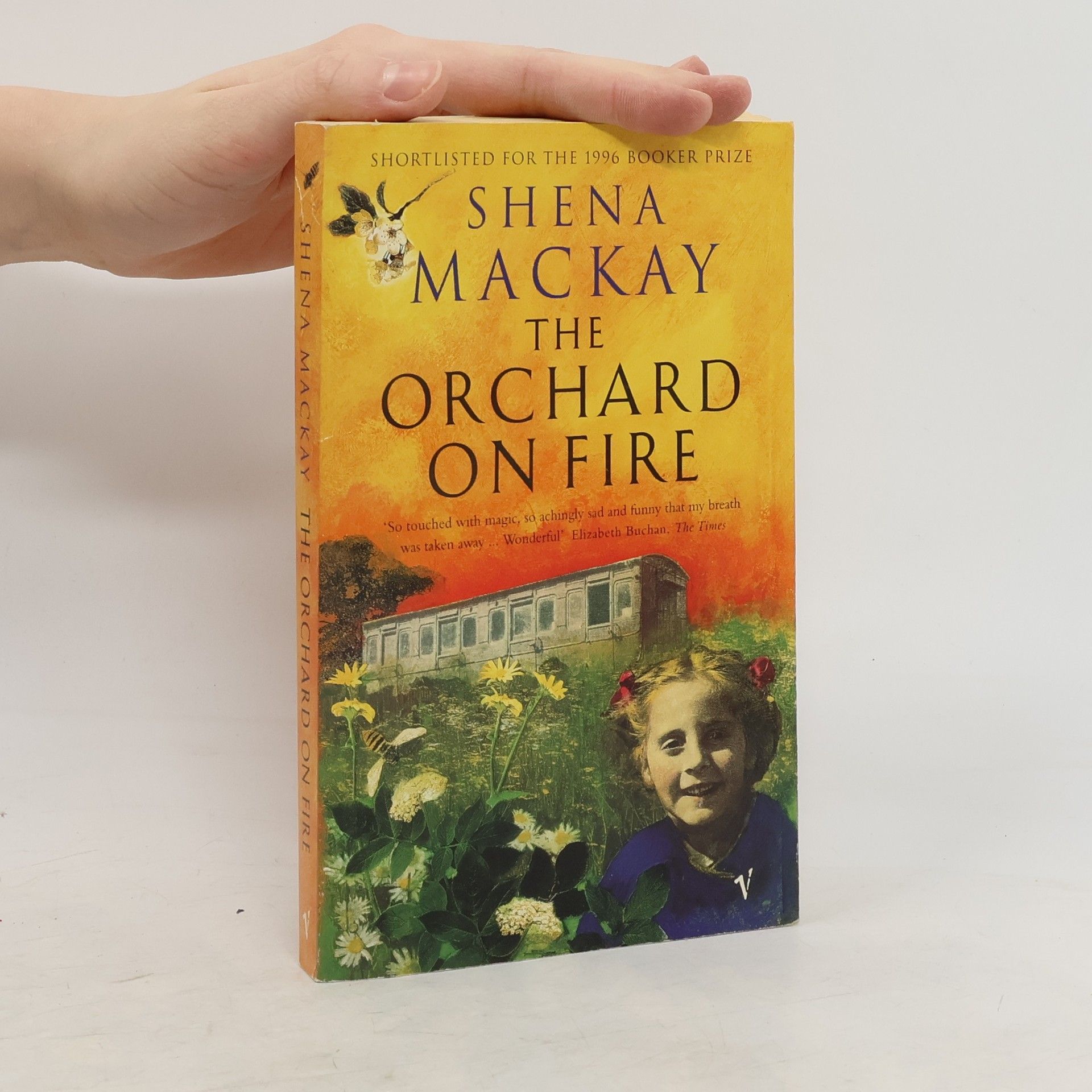 Shena Mackay The Orchard on Fire