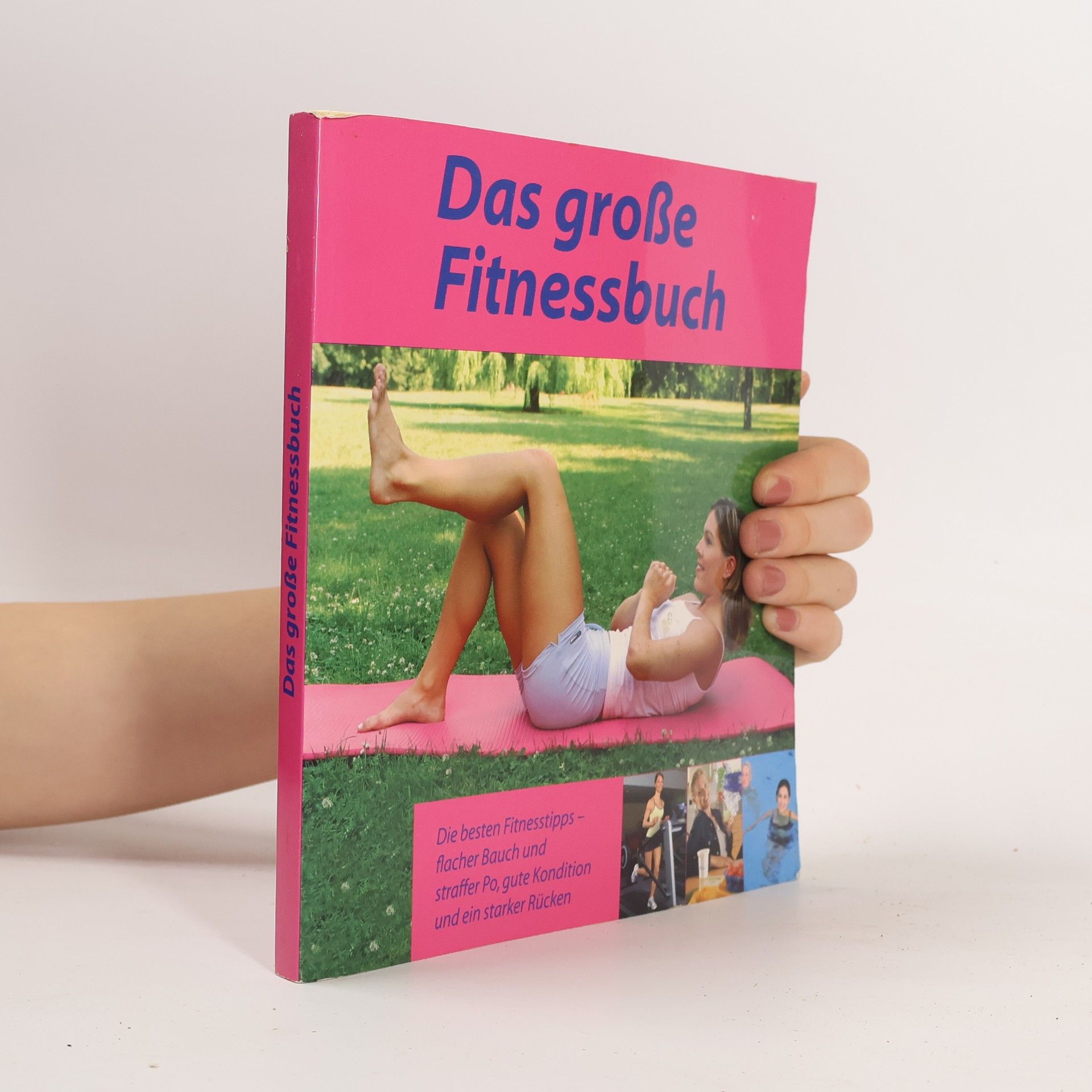 AA.VV. Das grosse Fitnessbuch