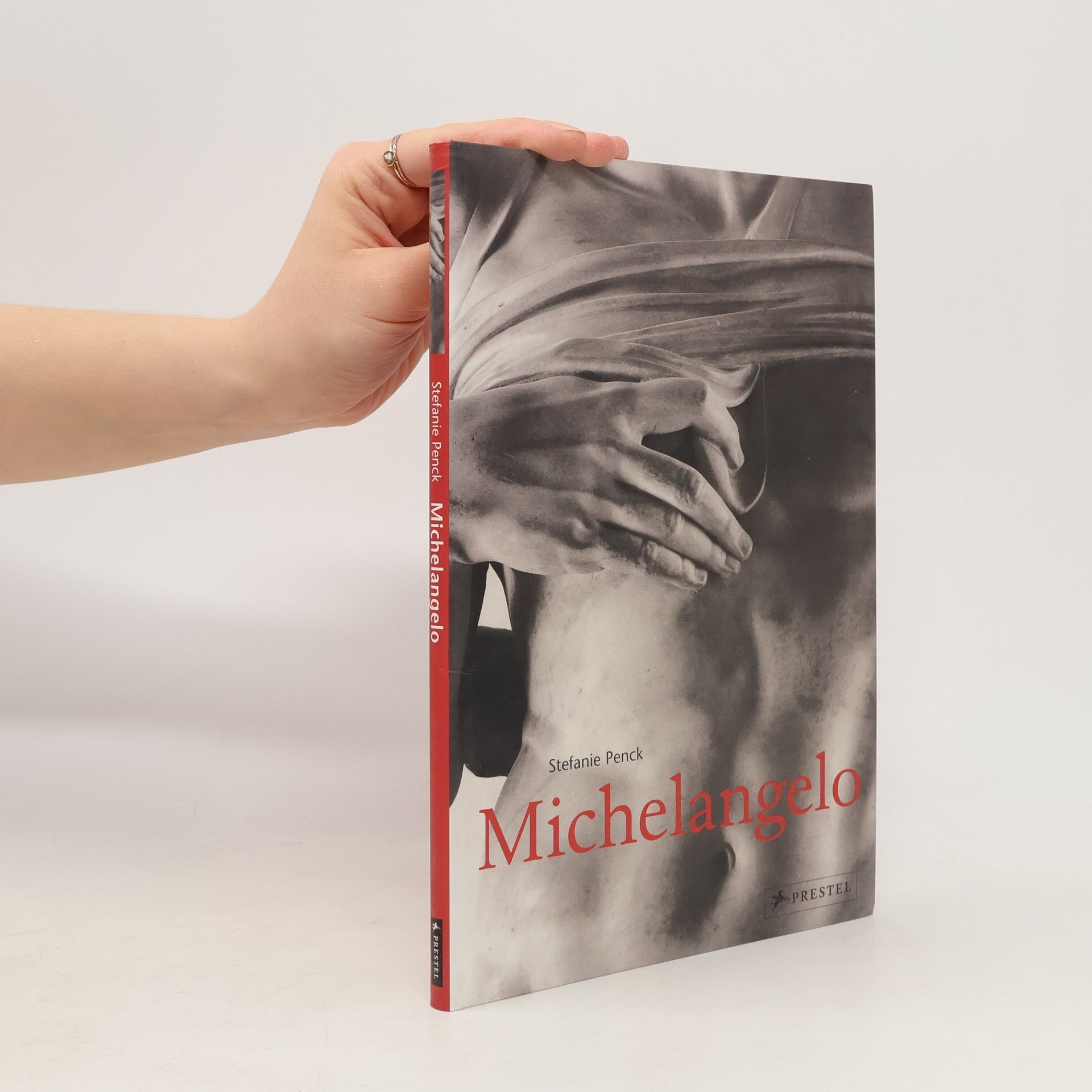 Stefanie Penck Michelangelo