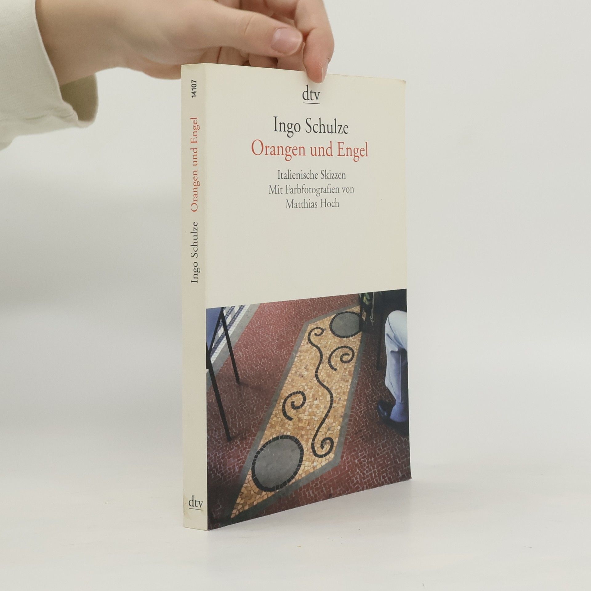 Ingo Schulze Orangen und Engel