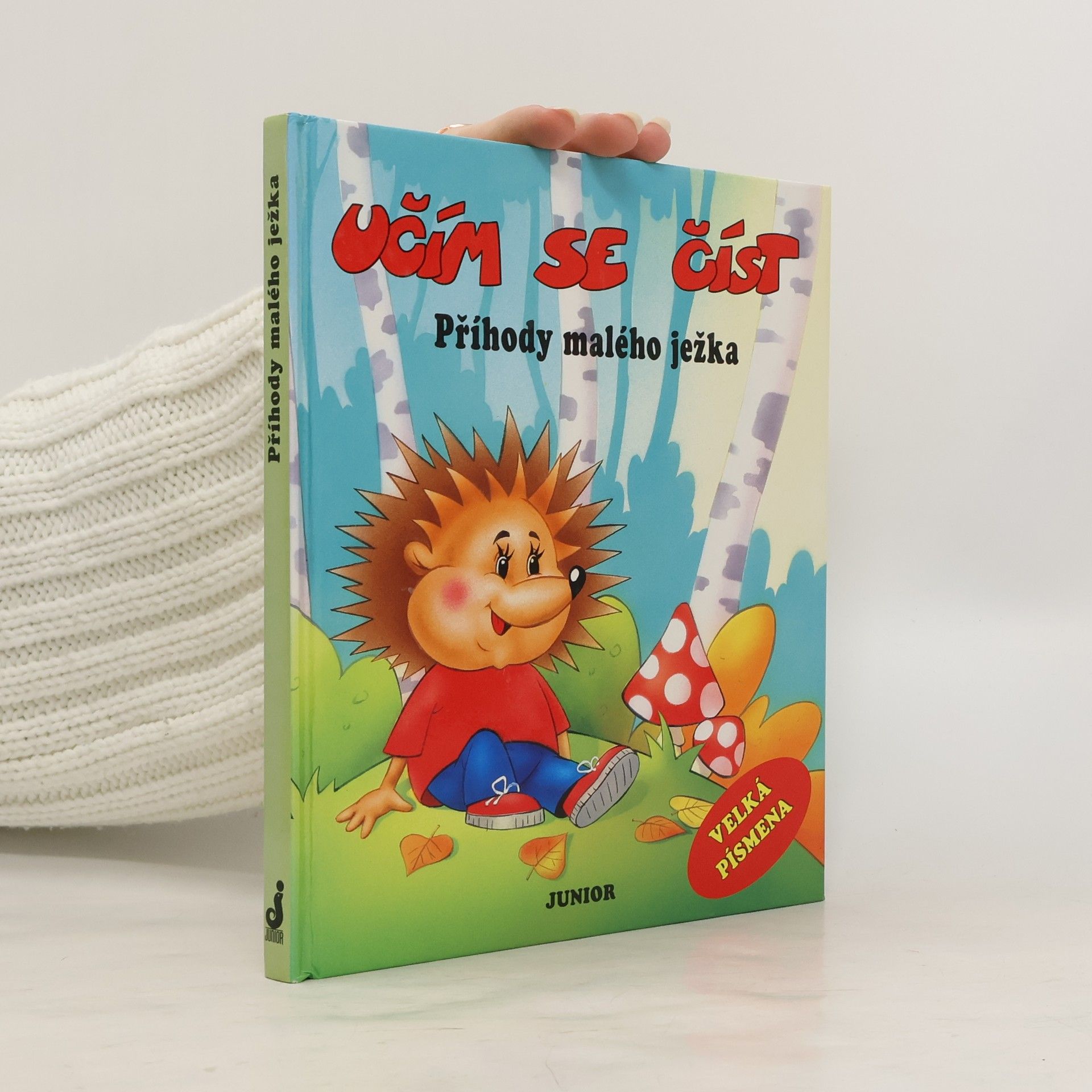 Patrycja Zarawska Příhody malého ježka