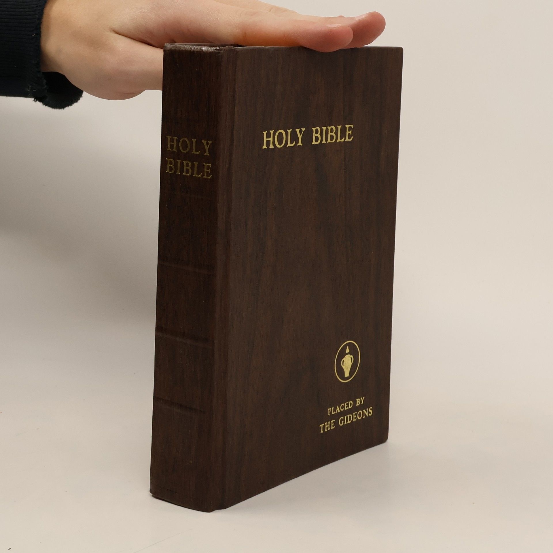 Collectif d'auteurs Holy Bible