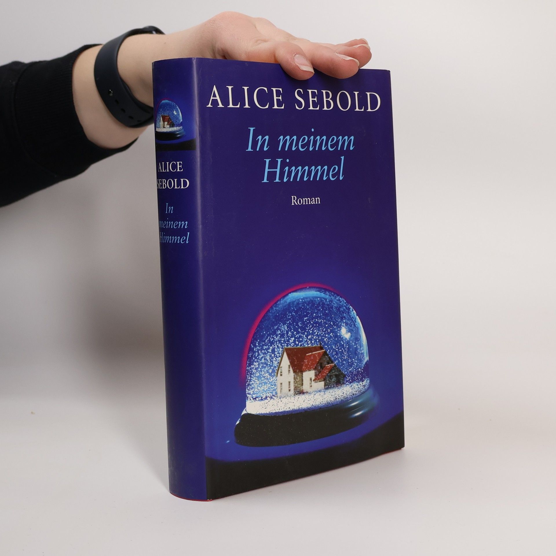 Alice Sebold In meinem Himmel