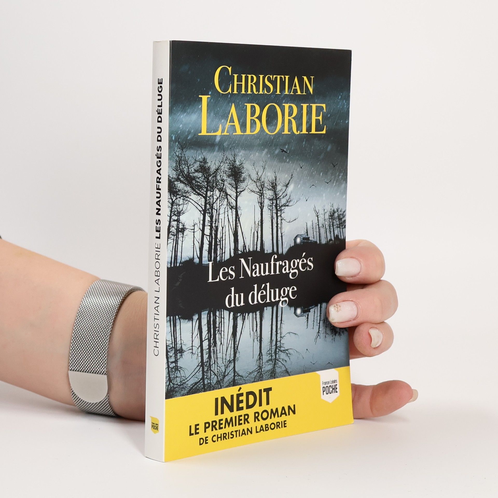 Christian Laborie Les Naufragés du déluge