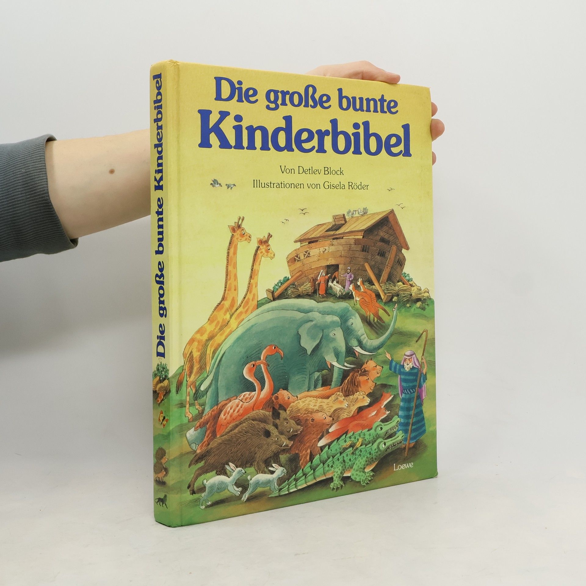 Die große bunte Kinderbibel