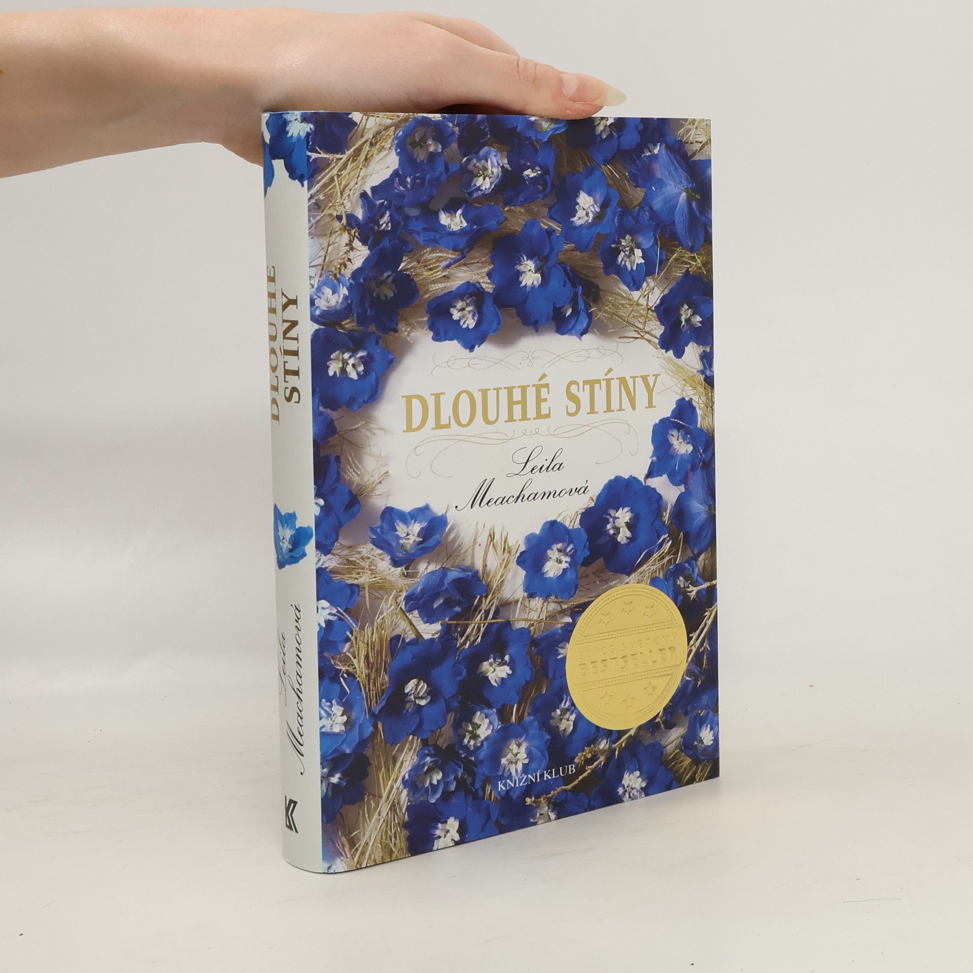 Leila Meacham Dlouhé stíny