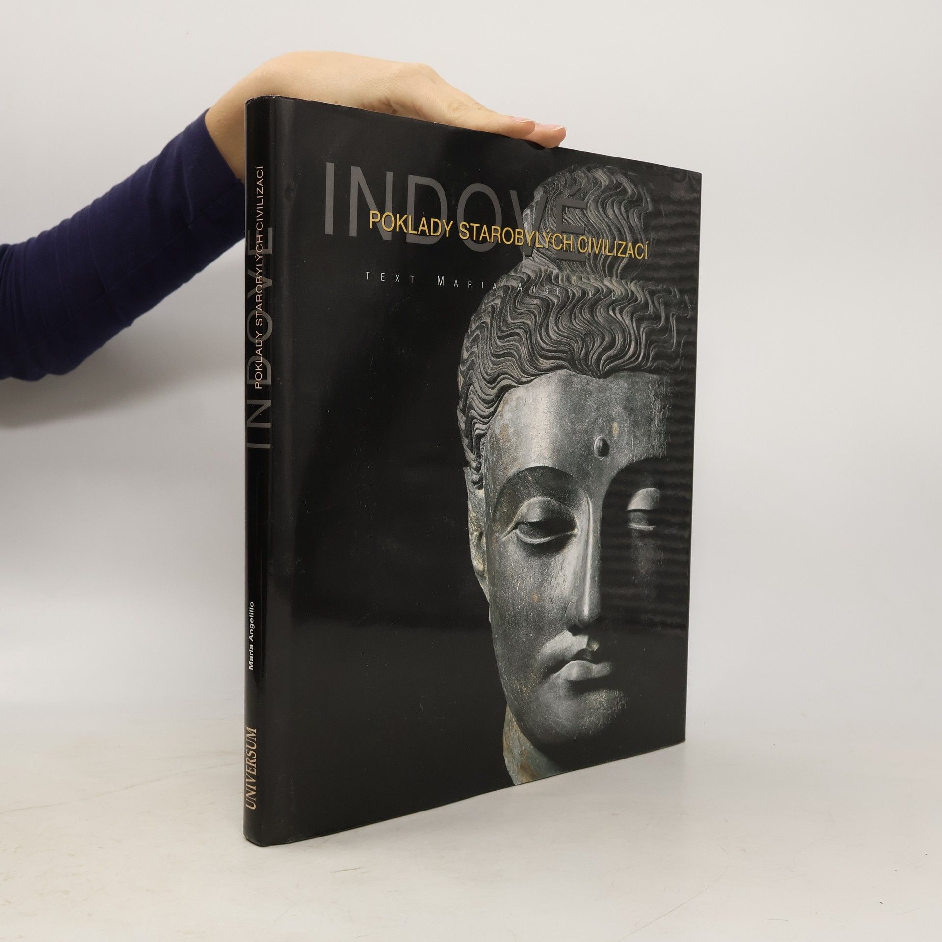 Indové. Poklady starobylých civilizací