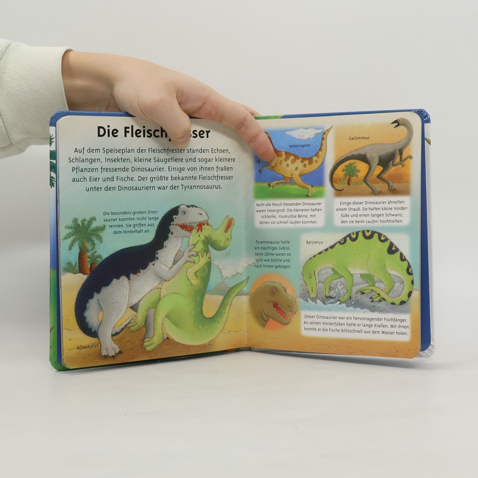 Kolektiv autorů Die Dinosaurier