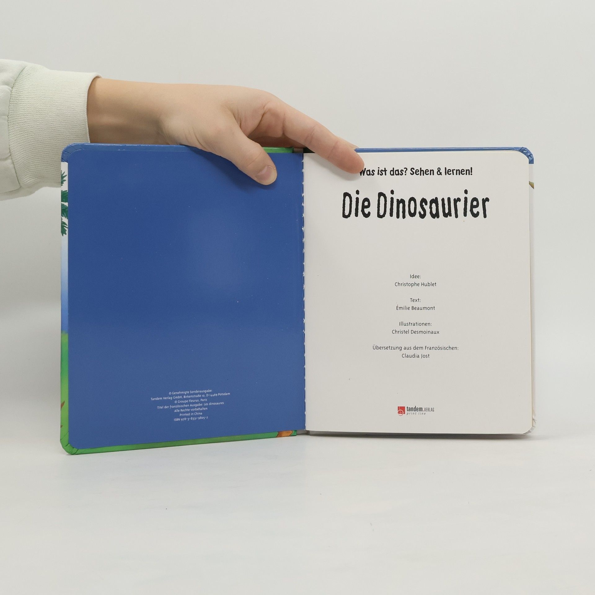 Kolektiv autorů Die Dinosaurier
