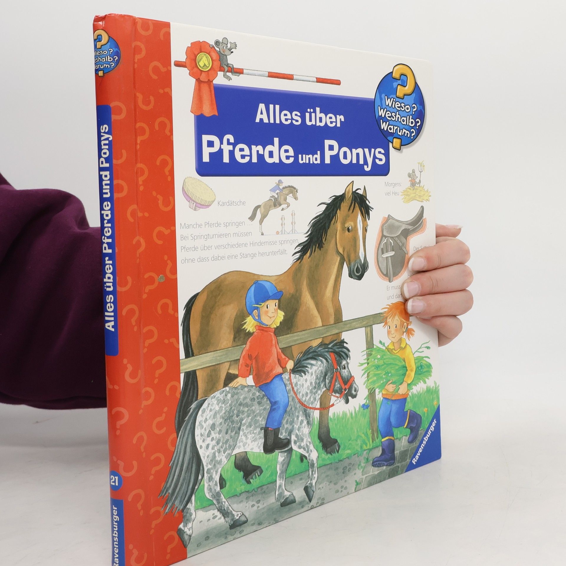 Andrea Erne Alles über Pferde und Ponys
