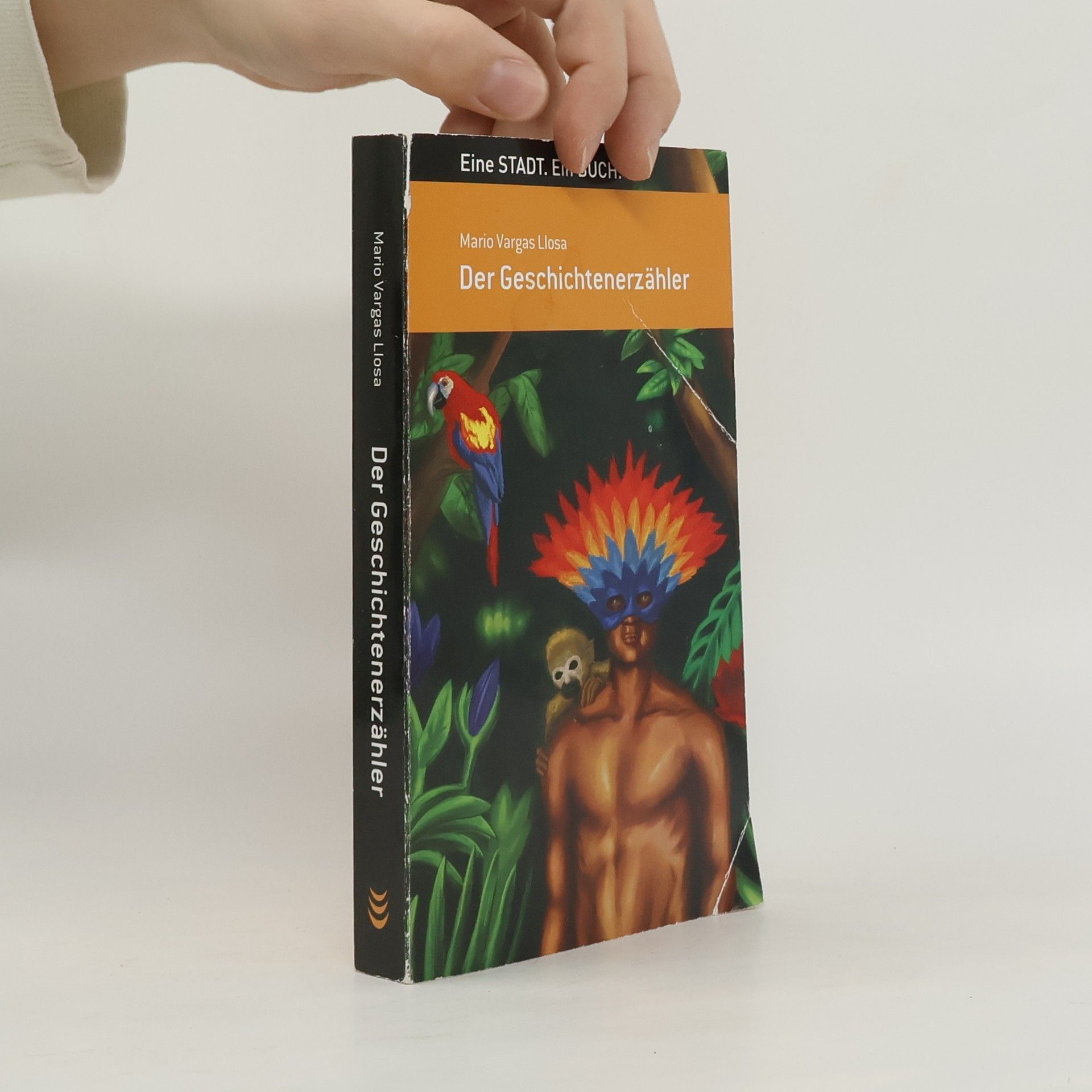 Mario Vargas Llosa Der Geschichtenerzähler