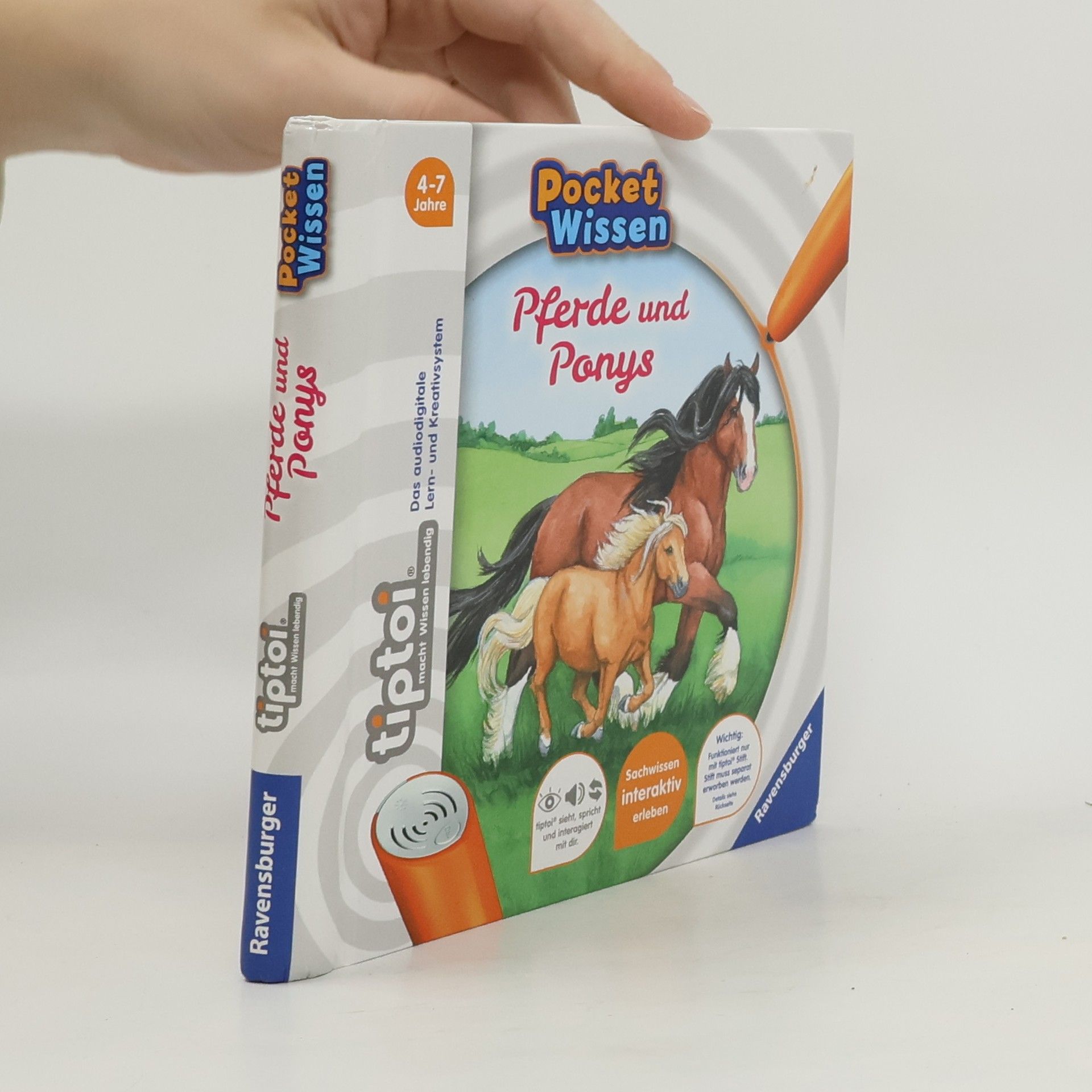 Yvonne Follert Pferde und Ponys