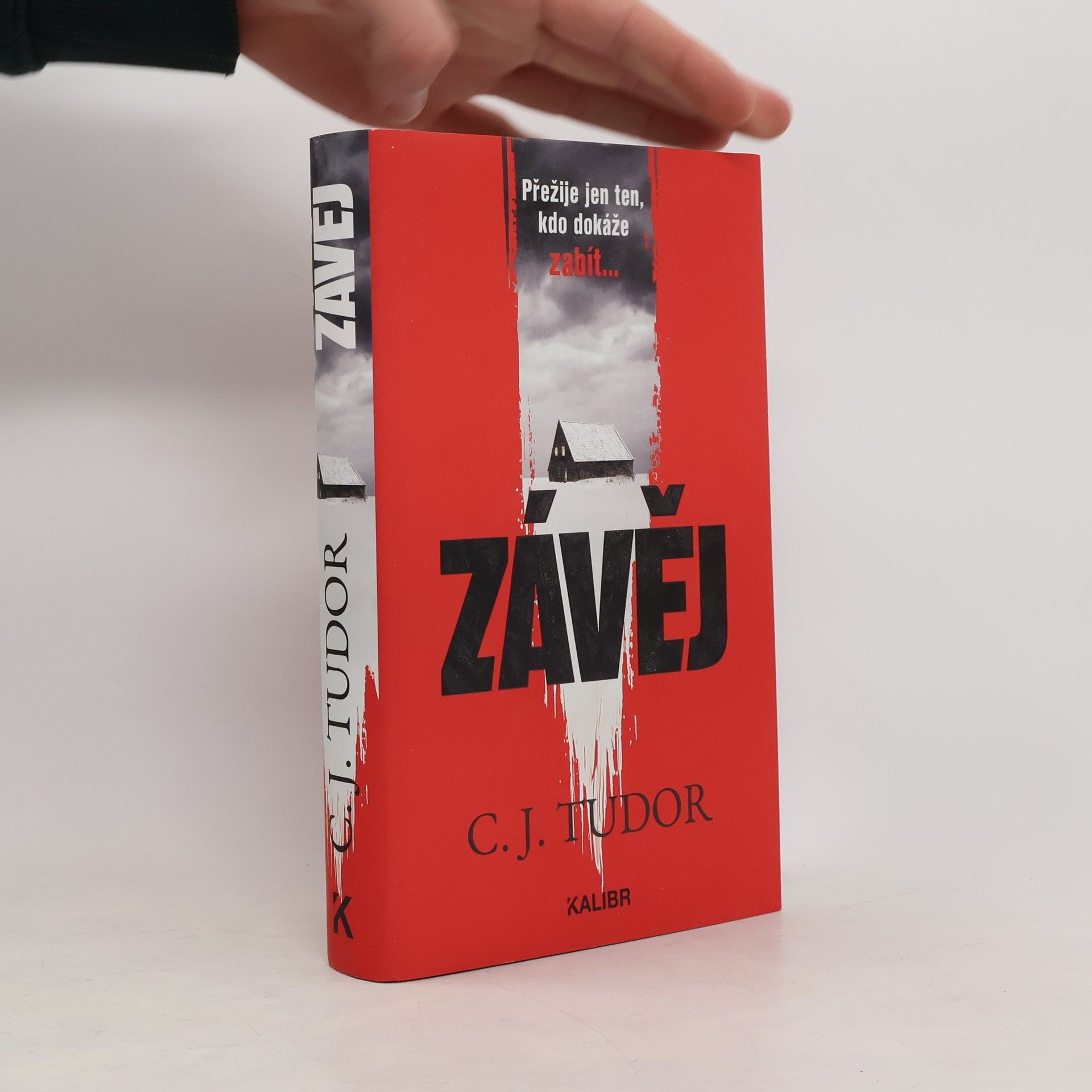 Jana Kunová Závěj