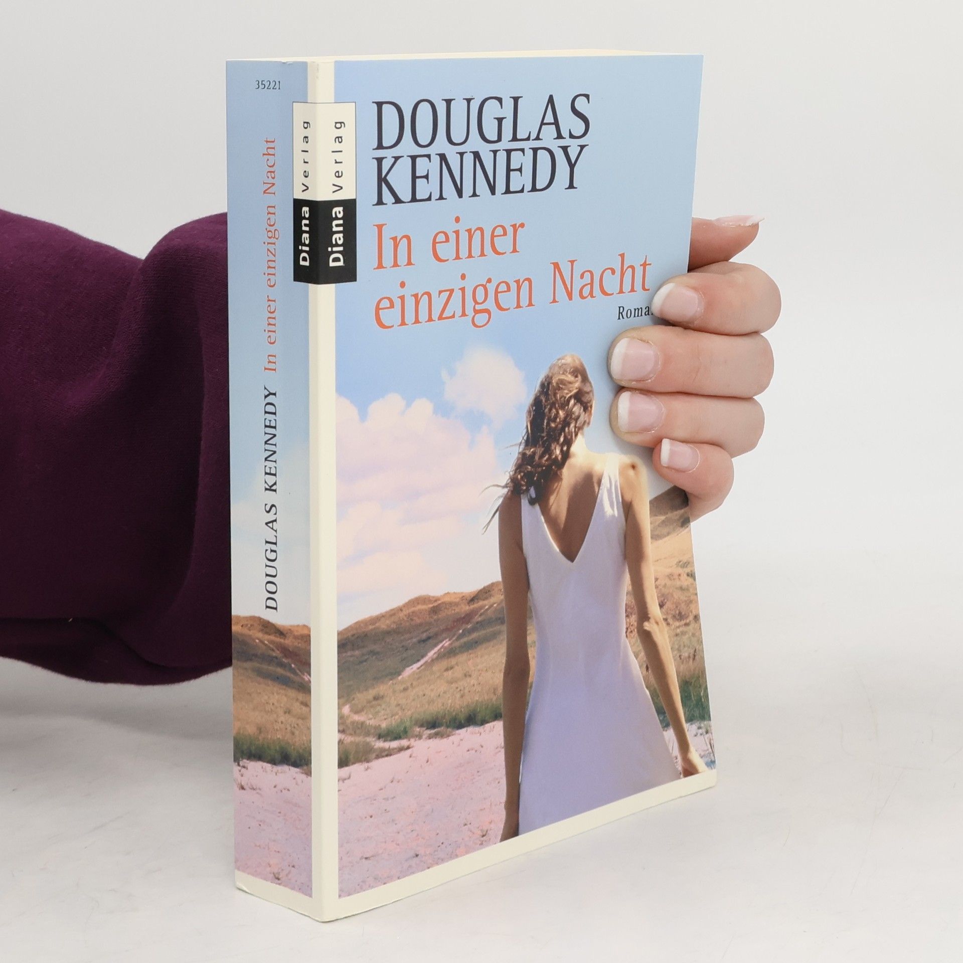 Douglas Kennedy In einer einzigen Nacht