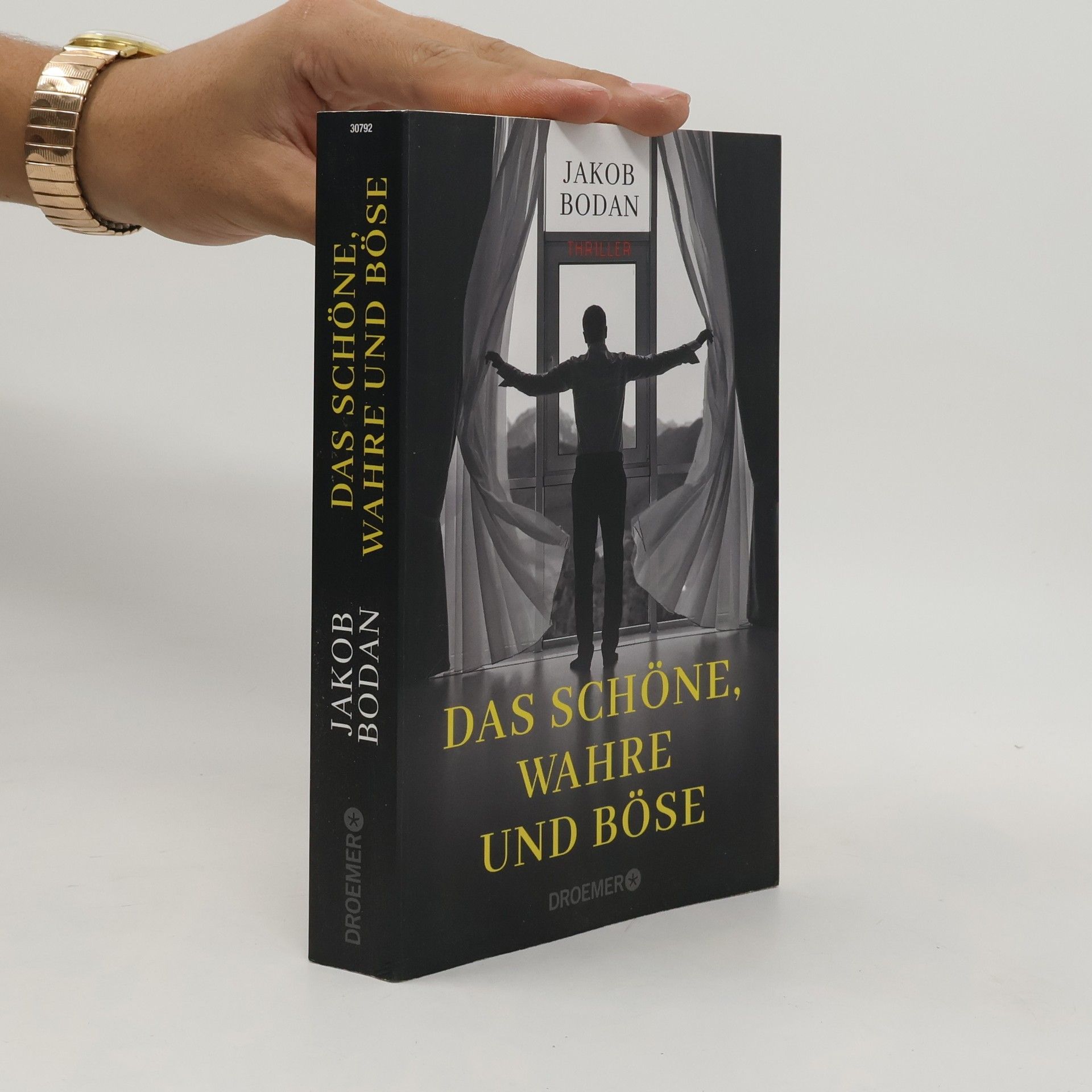 Das Schöne, Wahre und Böse. Thriller