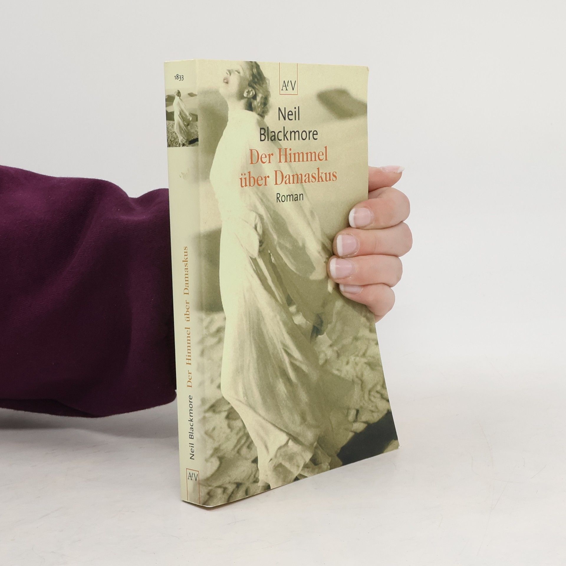 Neil Blackmore Der Himmel über Damaskus