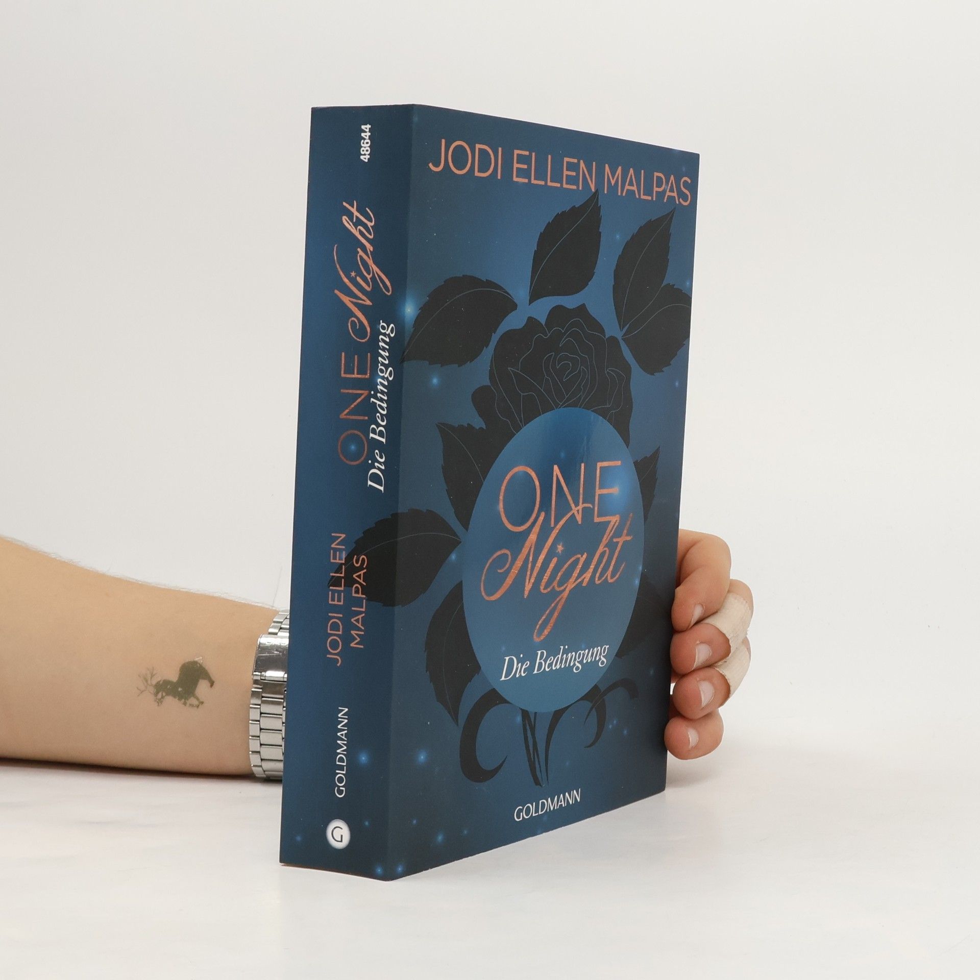 Nicole Hölsken One night - die Bedingung