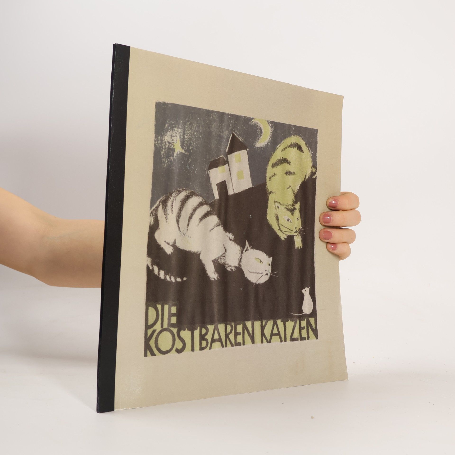 Autorenkollektiv Die kostbaren Katzen